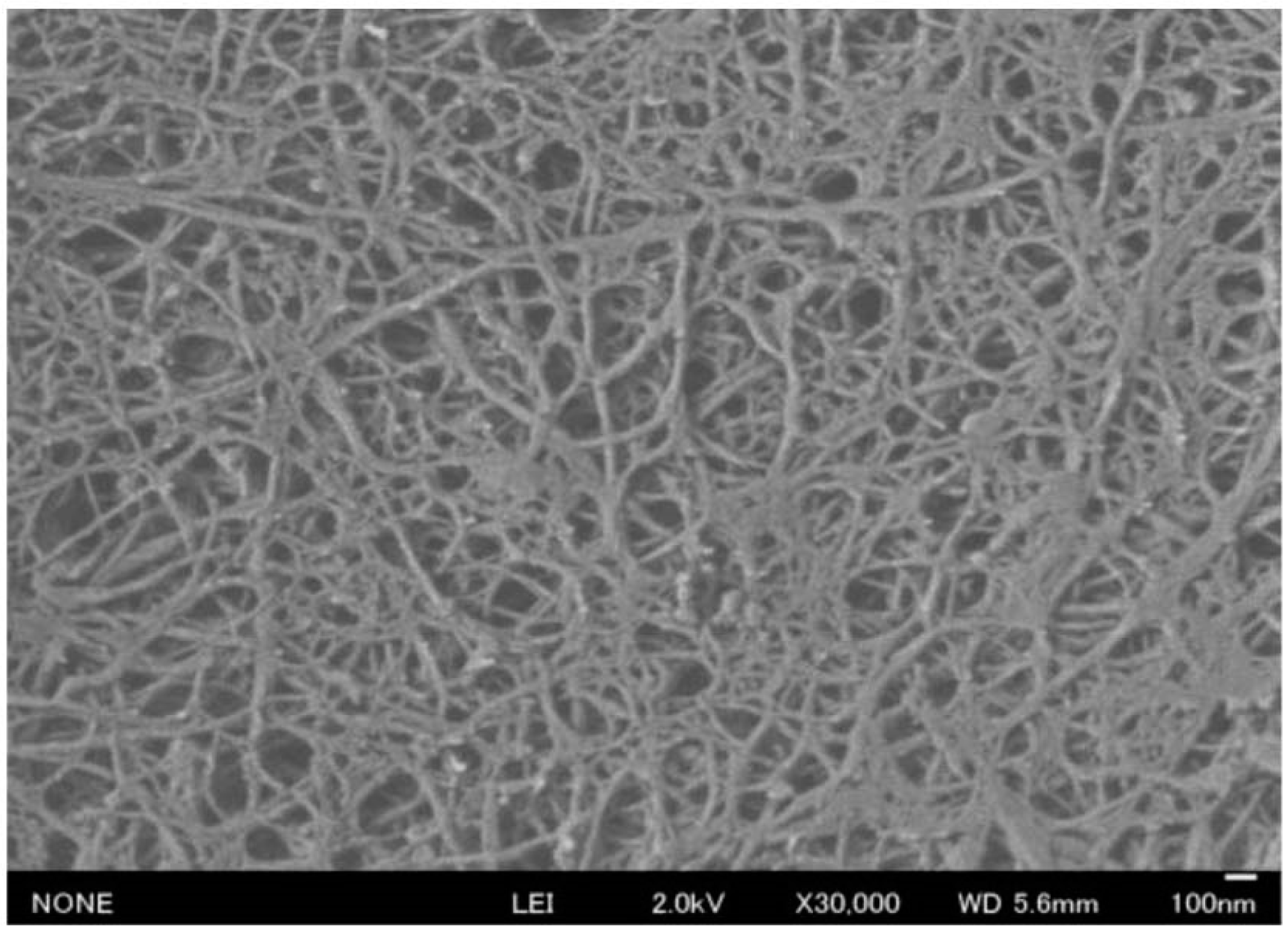 Molecules 19 18367 g004