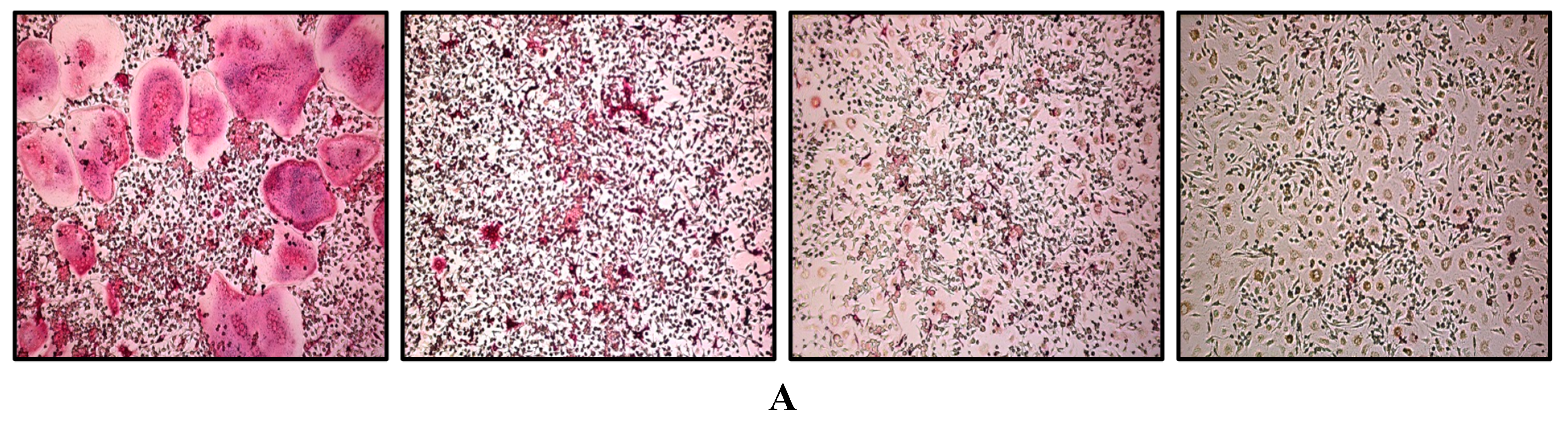 Molecules 19 18465 g001a