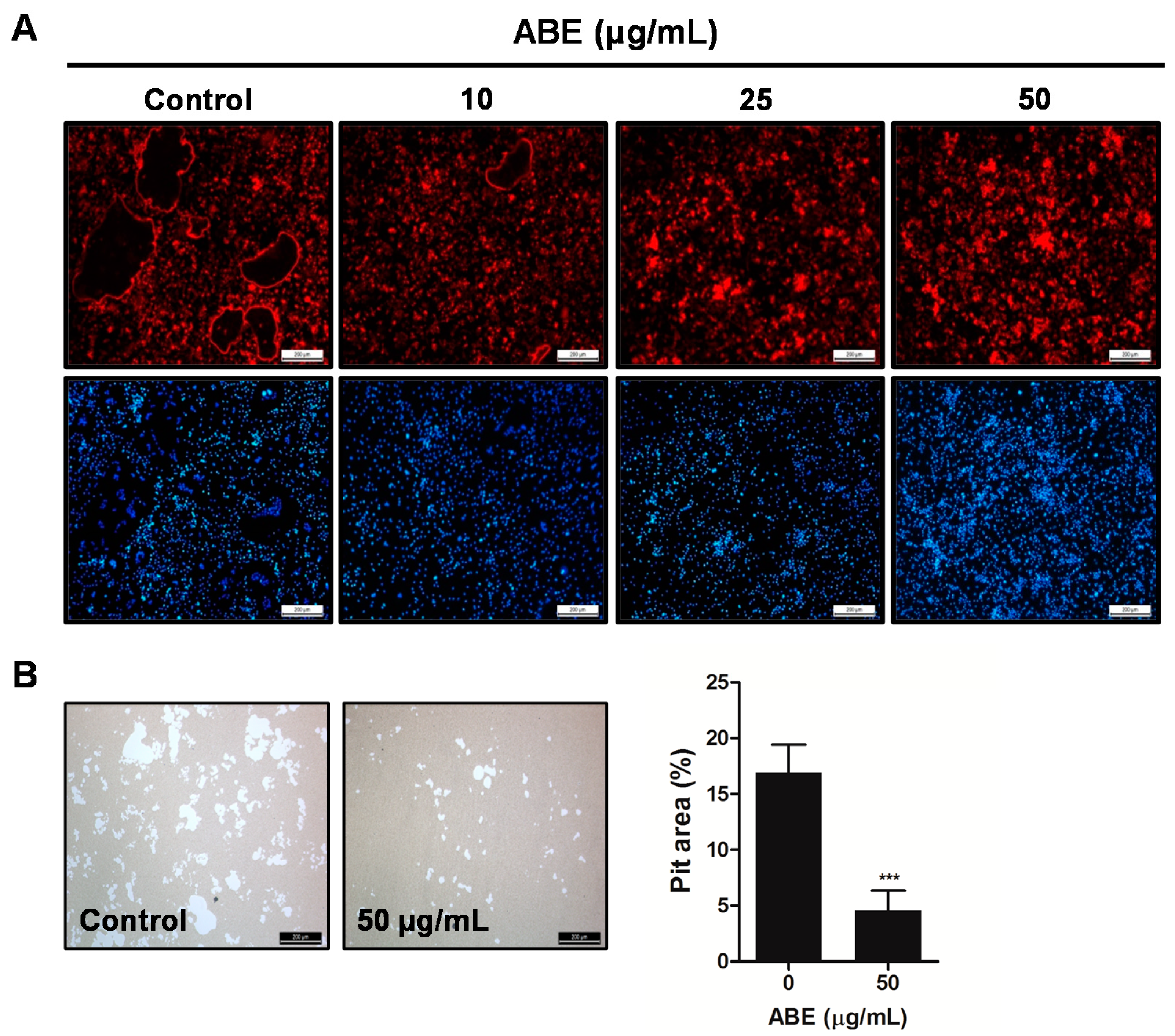 Molecules 19 18465 g005