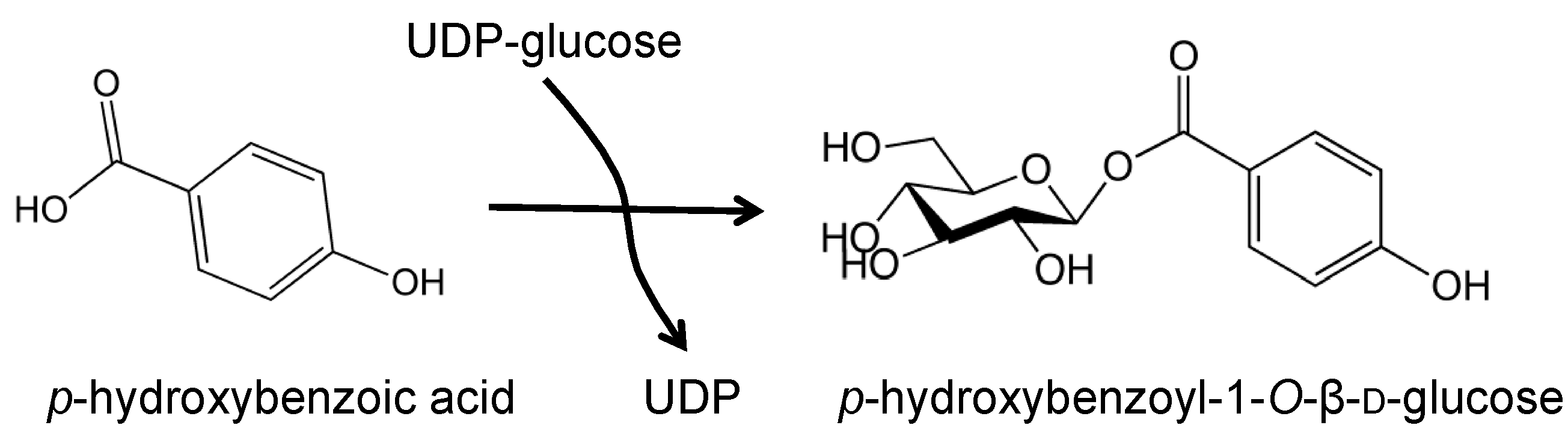 strong Figure 4/strong br/ p Representative UDP-glucose dependent glucosylt...