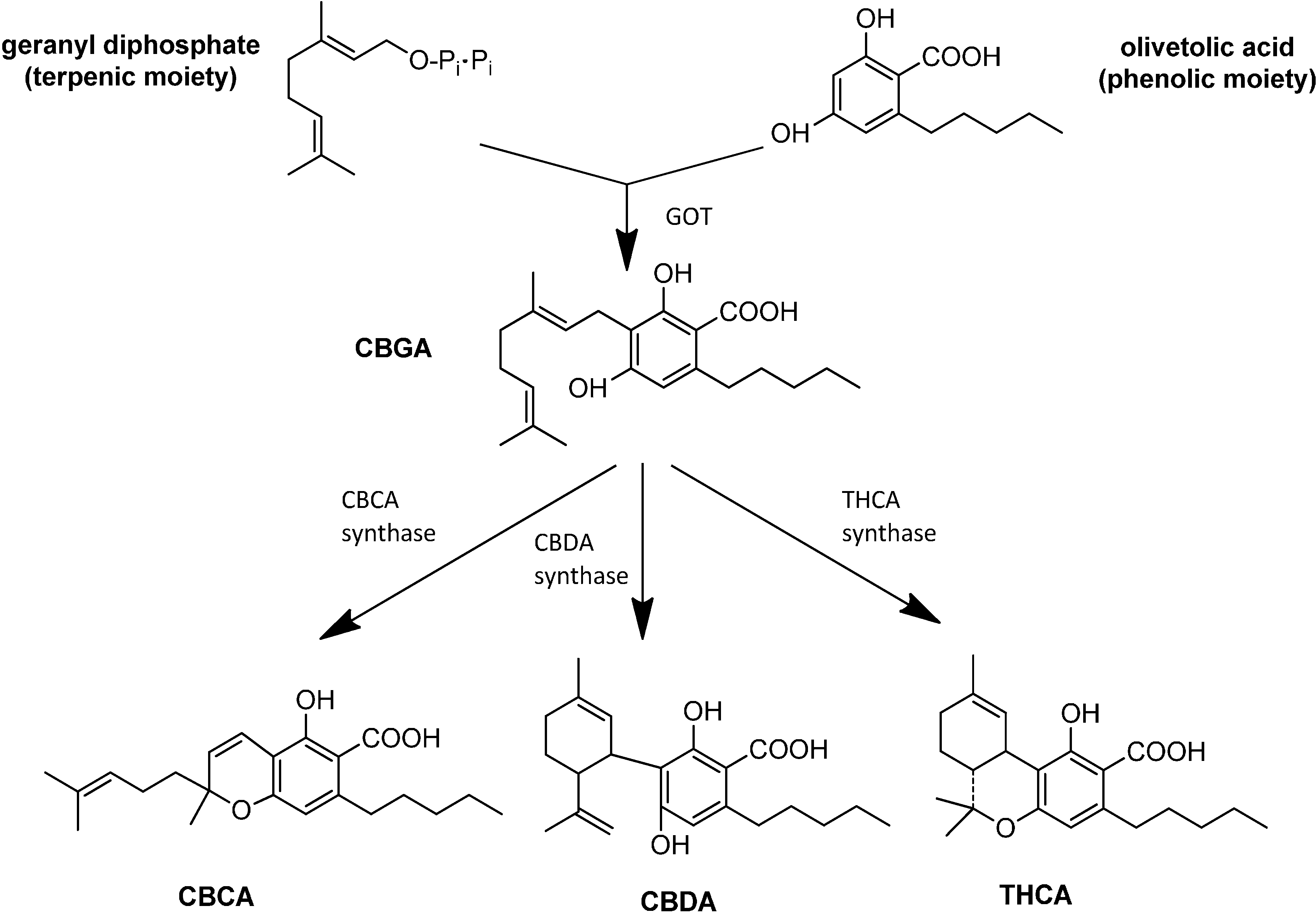 Molecules 19 18781 g003