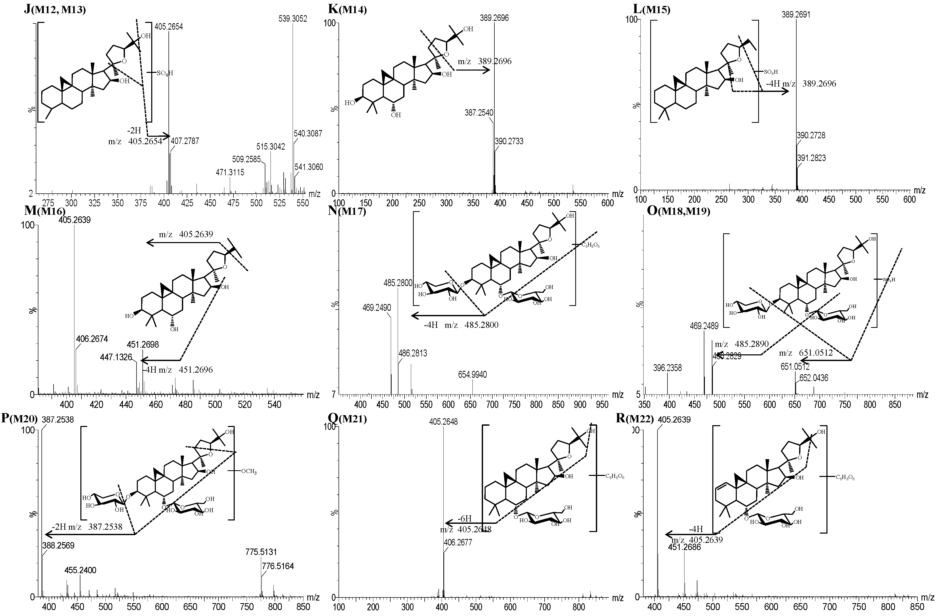 Molecules 19 18881 g003b