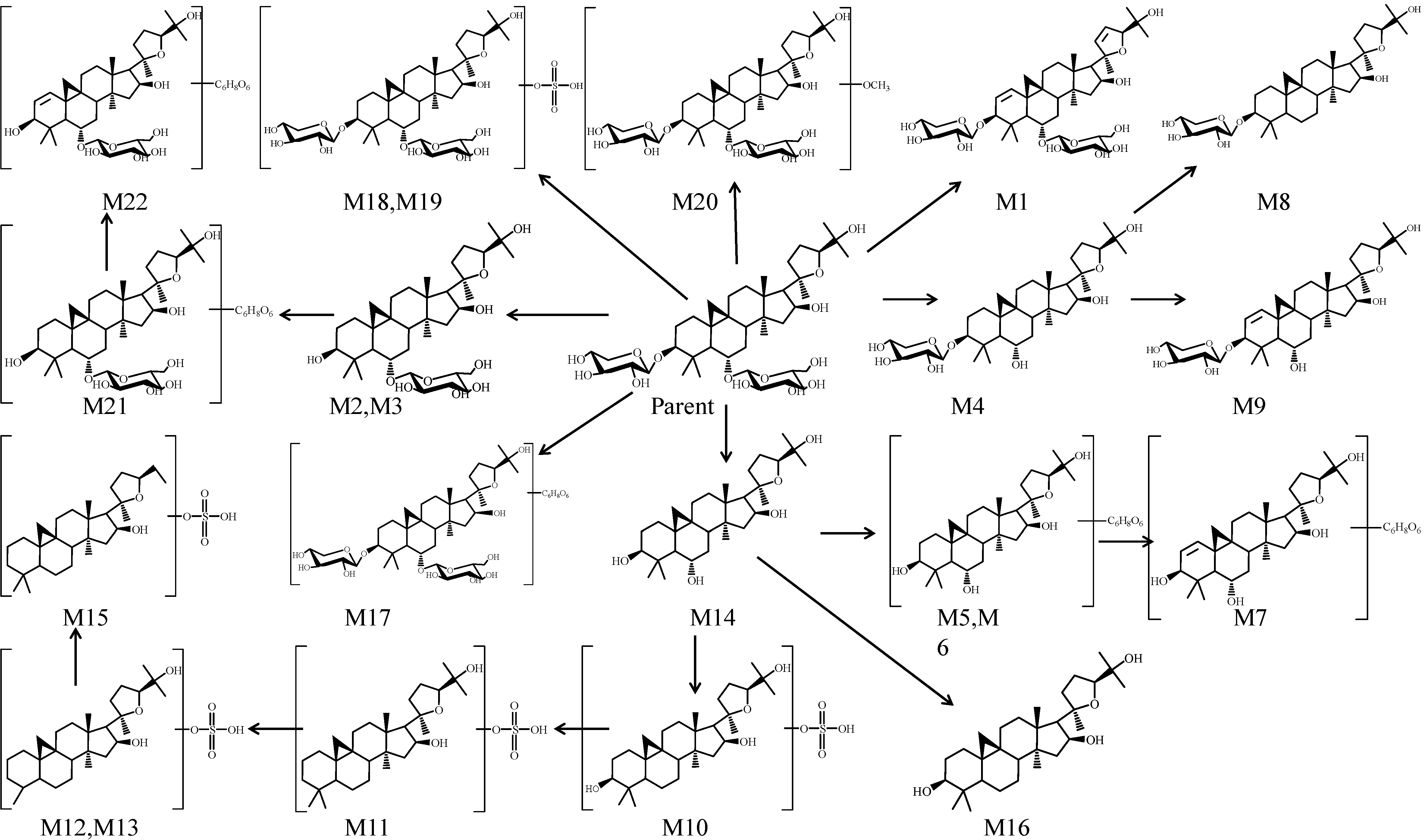 Molecules 19 18881 g004