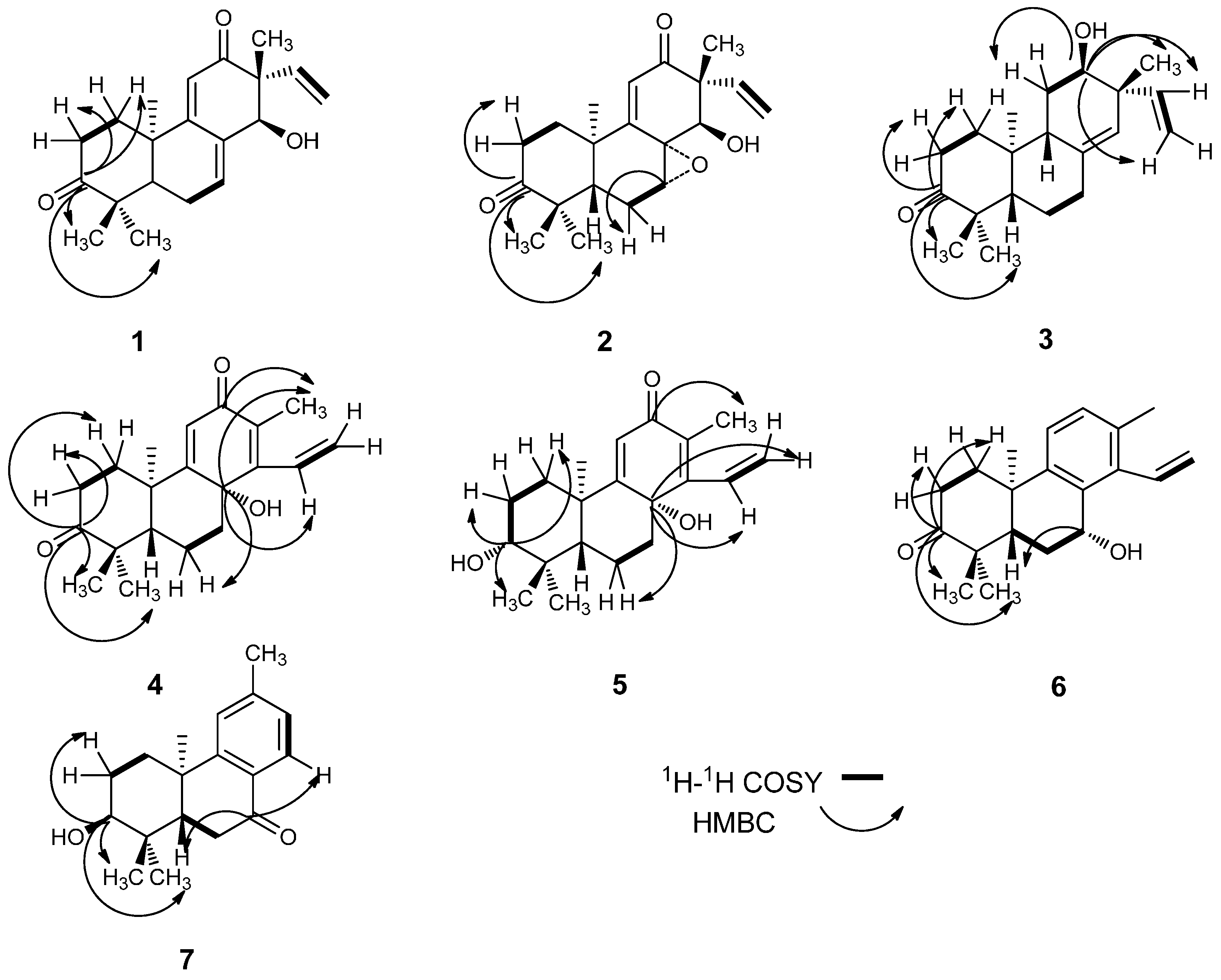 Molecules 19 18966 g002