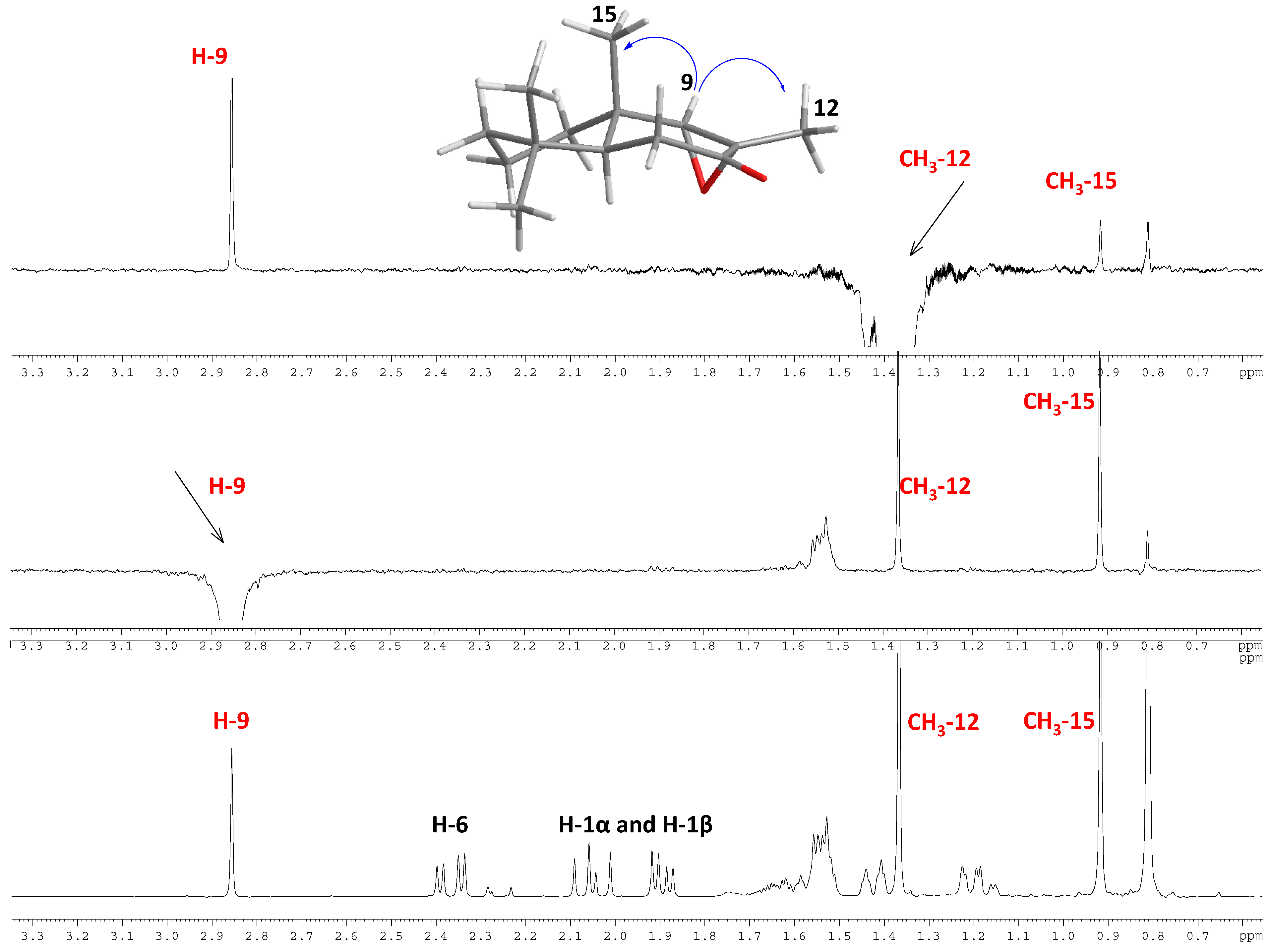 Molecules 19 18993 g002