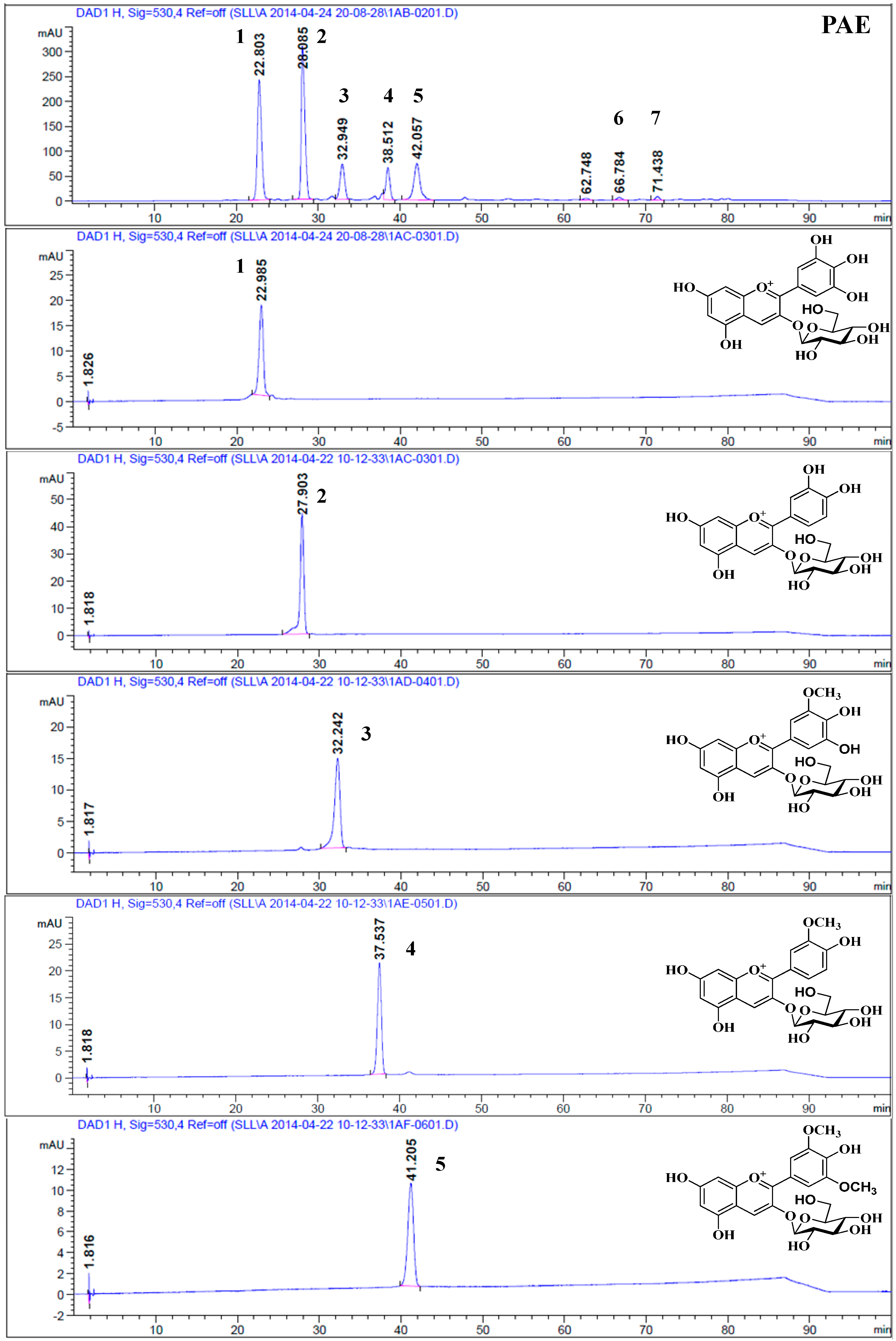 Molecules 19 19078 g001
