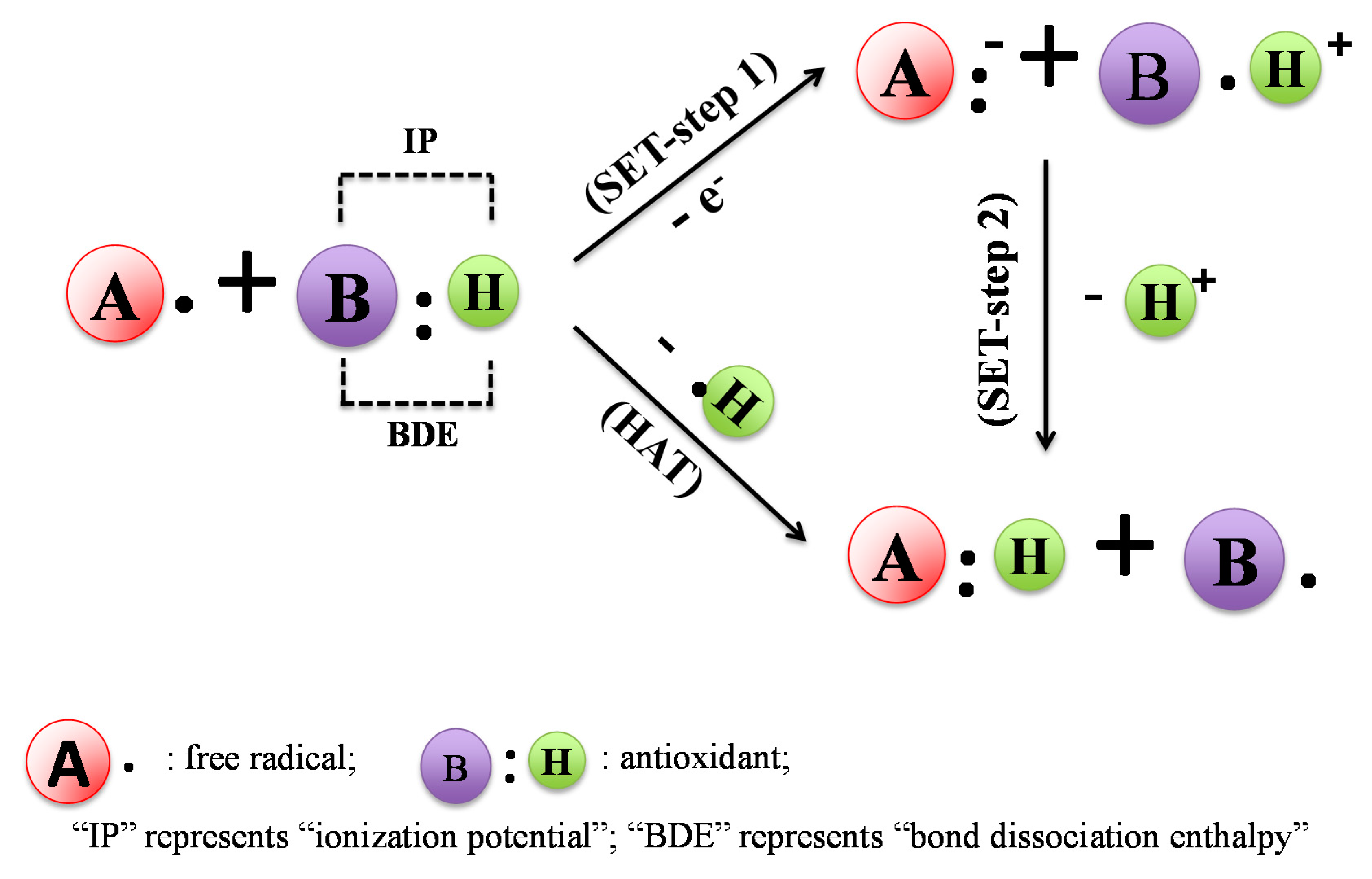 Molecules 19 19180 g002