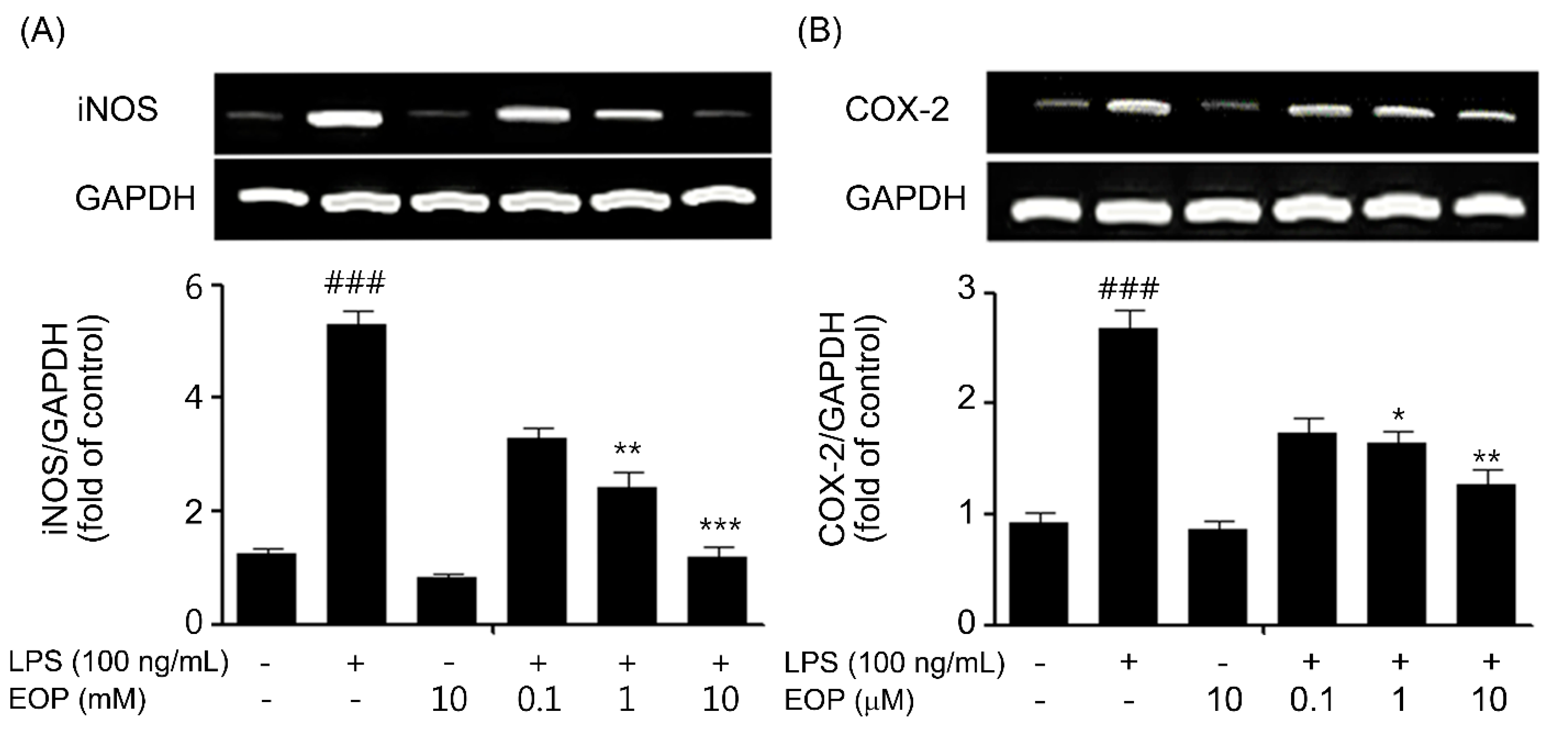 Molecules 19 19361 g003a 550
