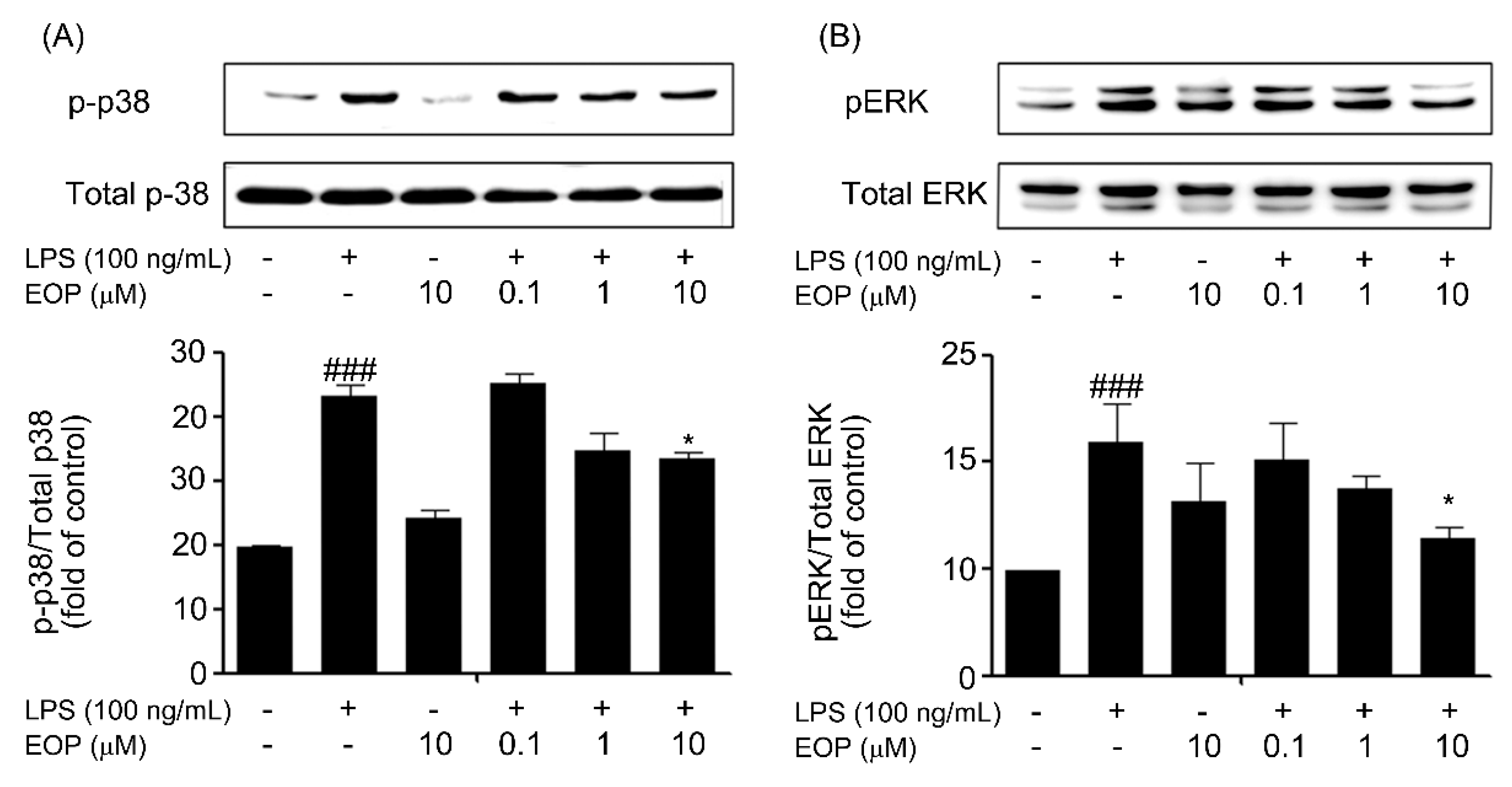 Molecules 19 19361 g005 550
