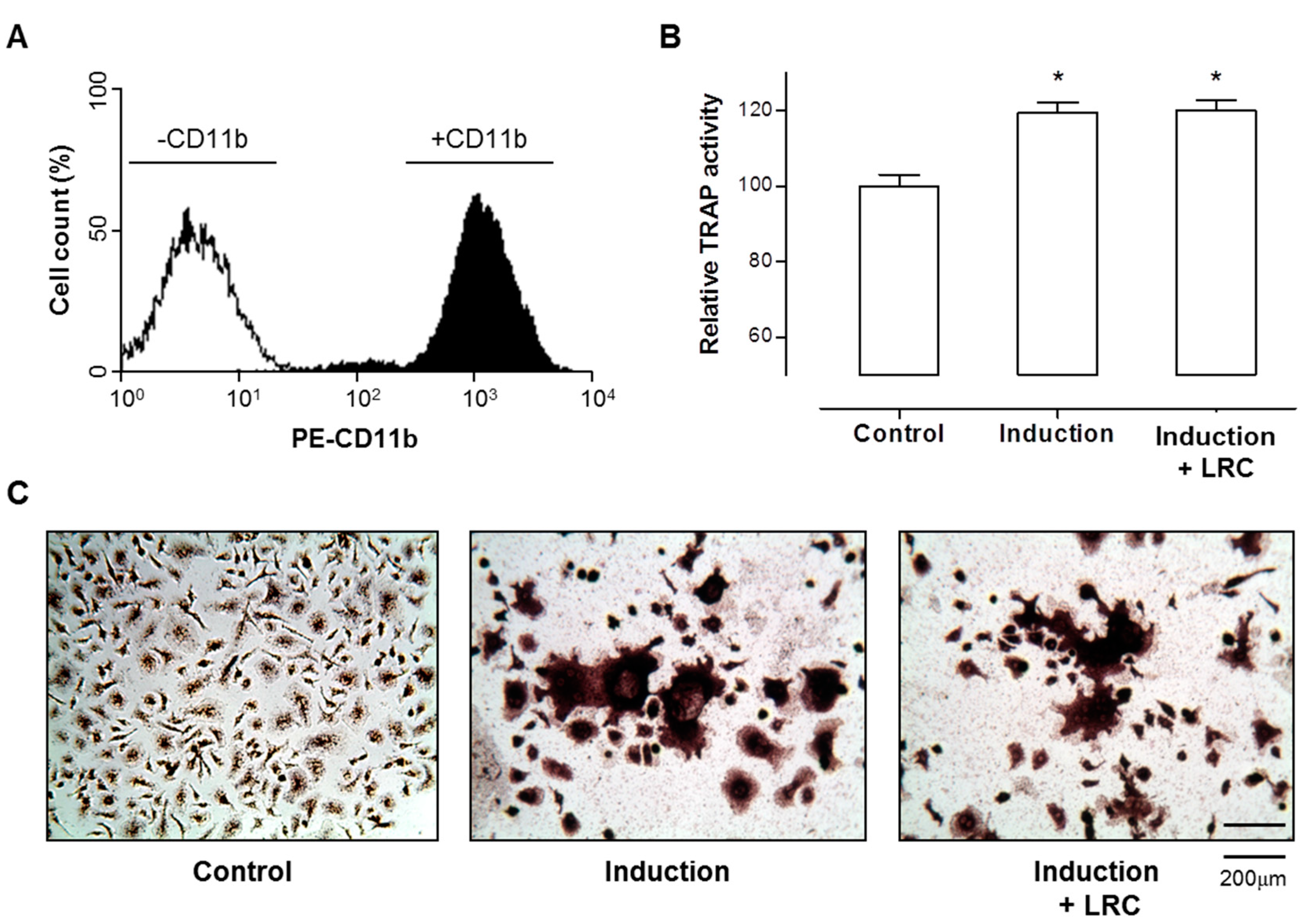 Molecules 19 19594 g002 550