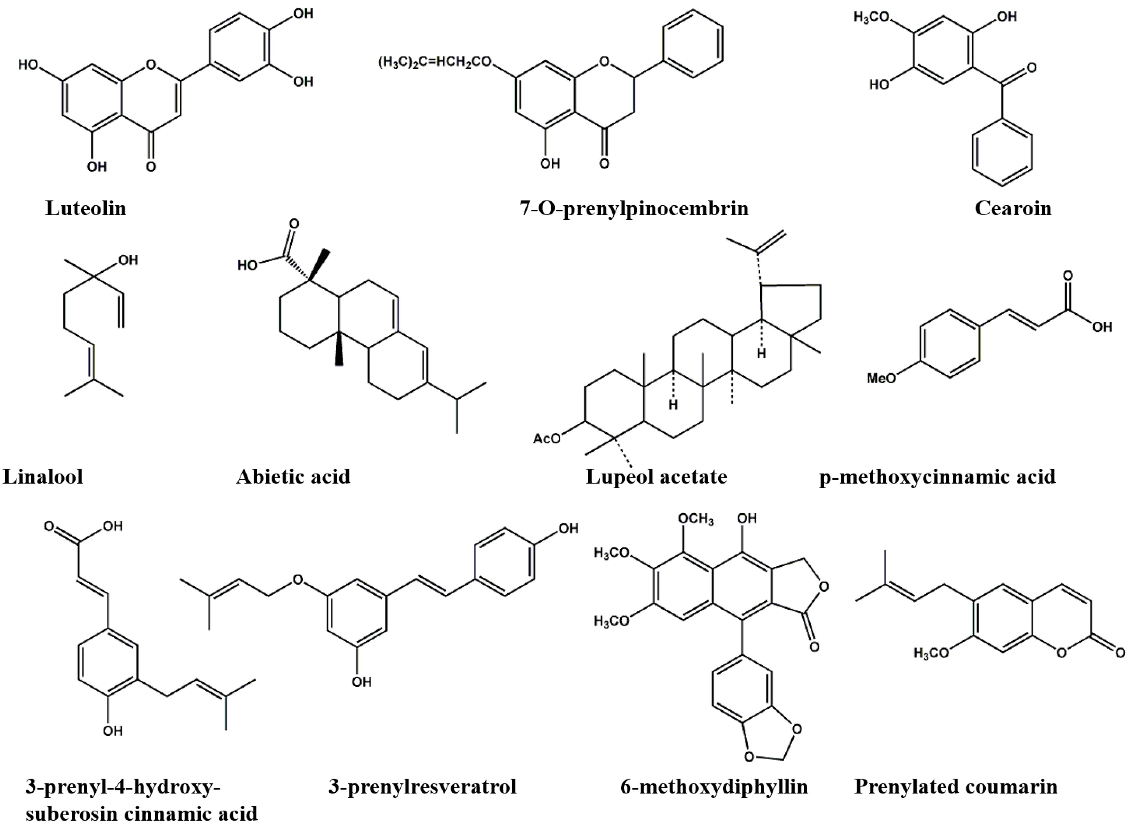 Molecules 19 19610 g003