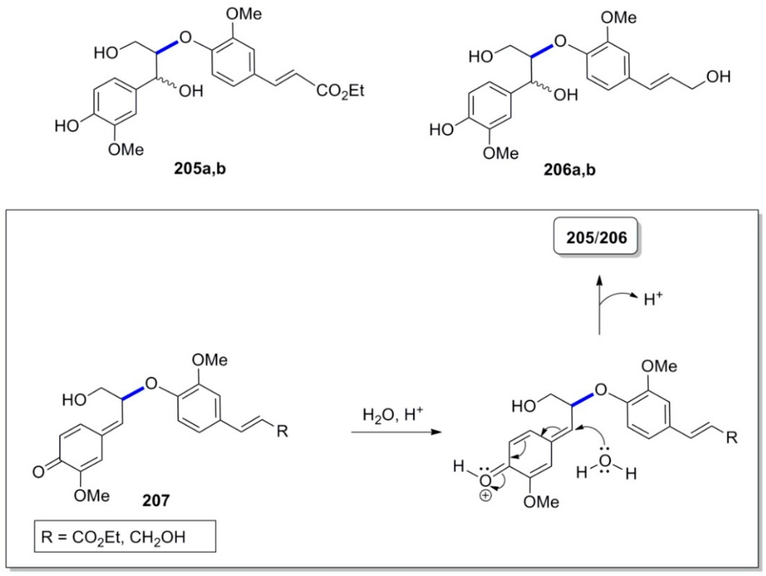 Molecules 19 19769 g014