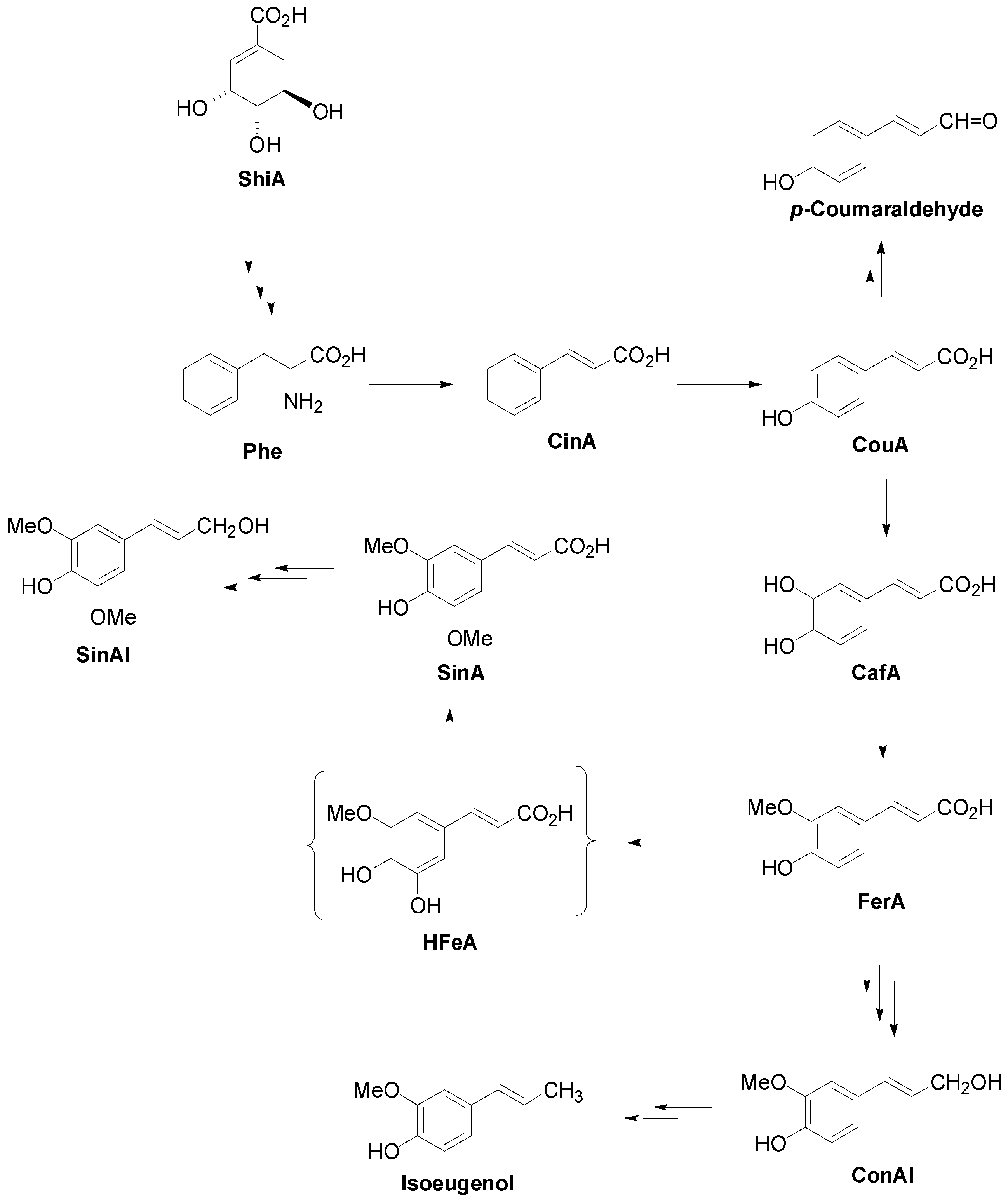 Molecules 19 19769 g020