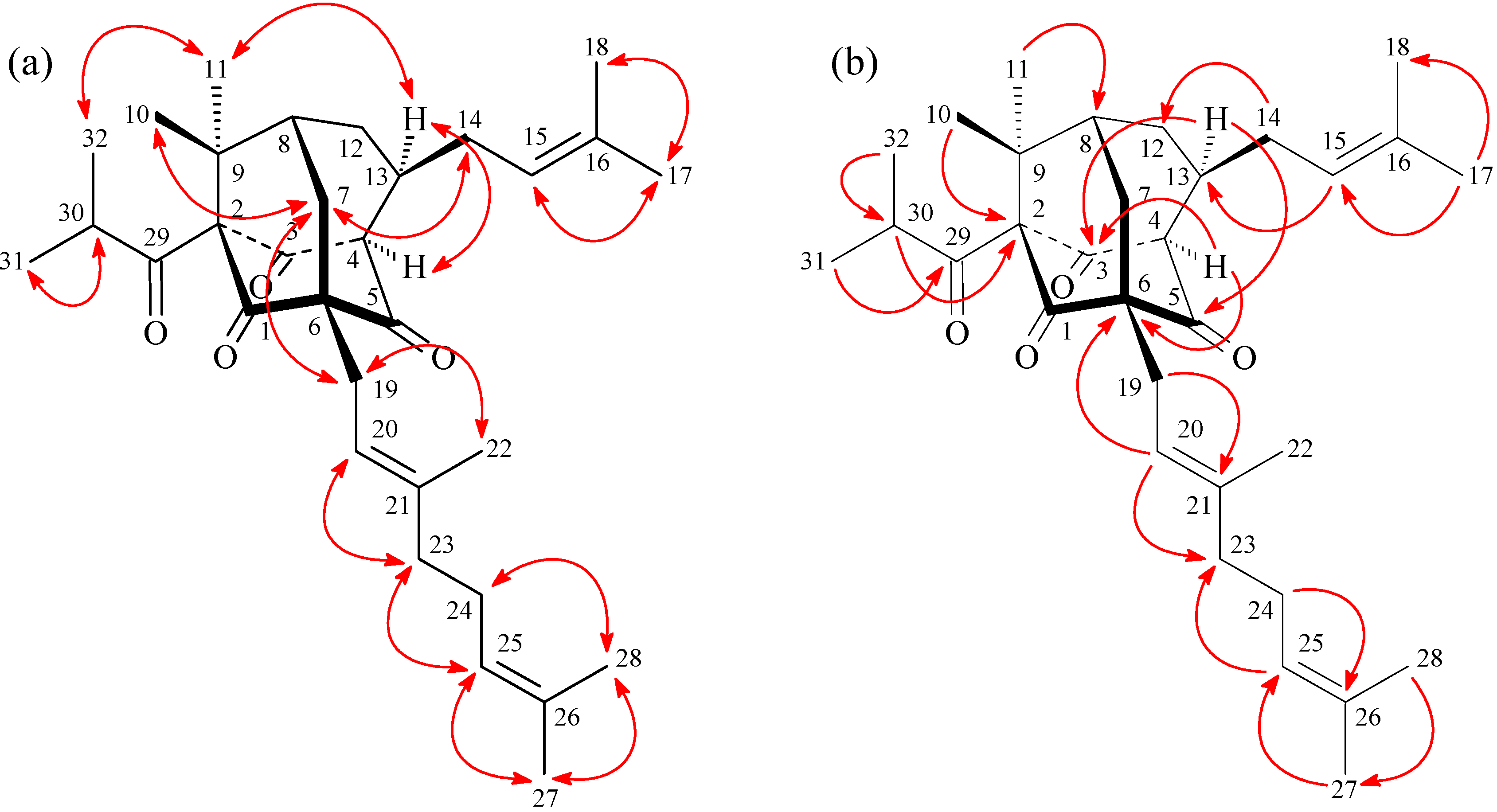Molecules 19 19836 g005 550