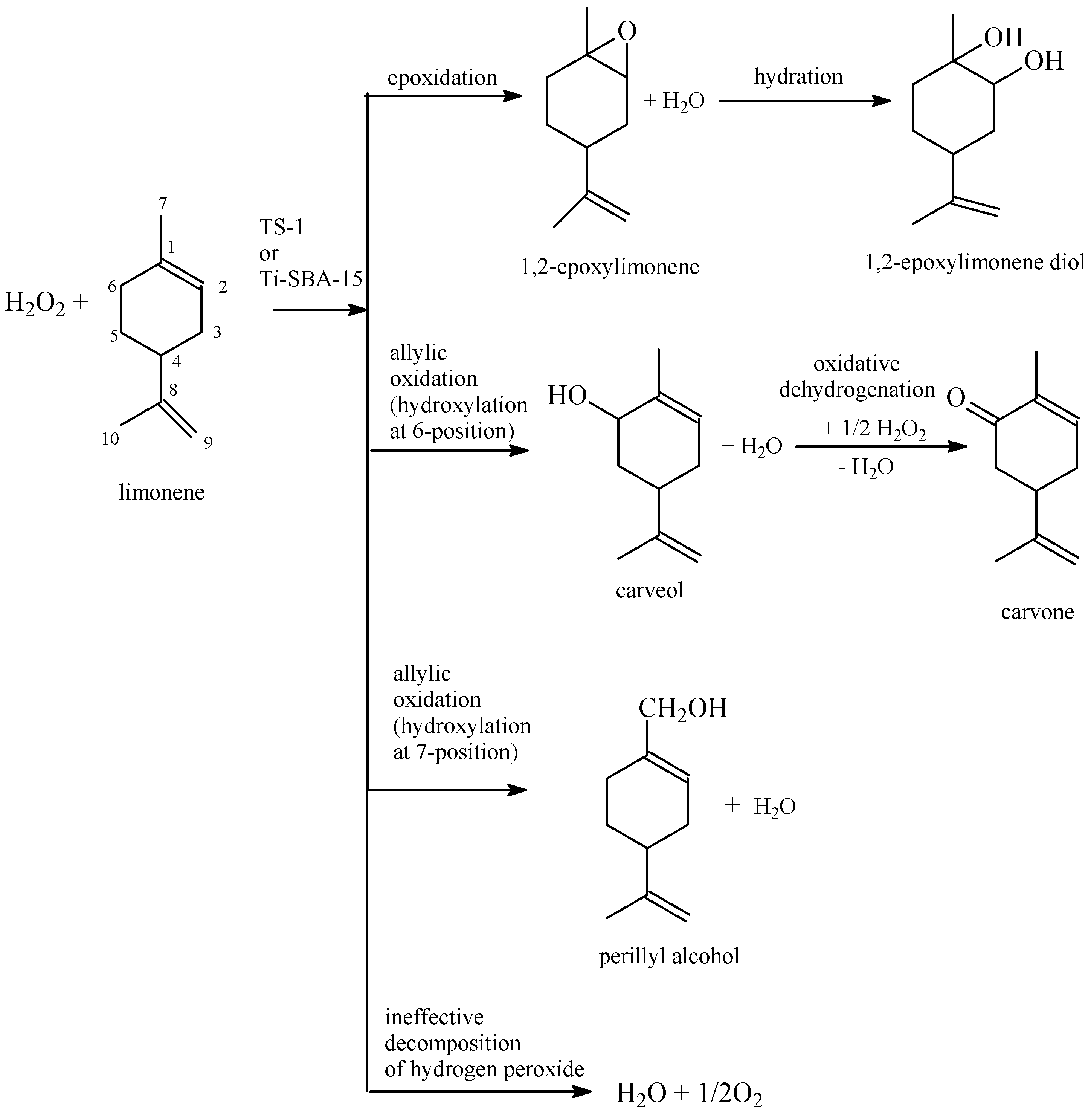 Molecules 19 19907 g004 550