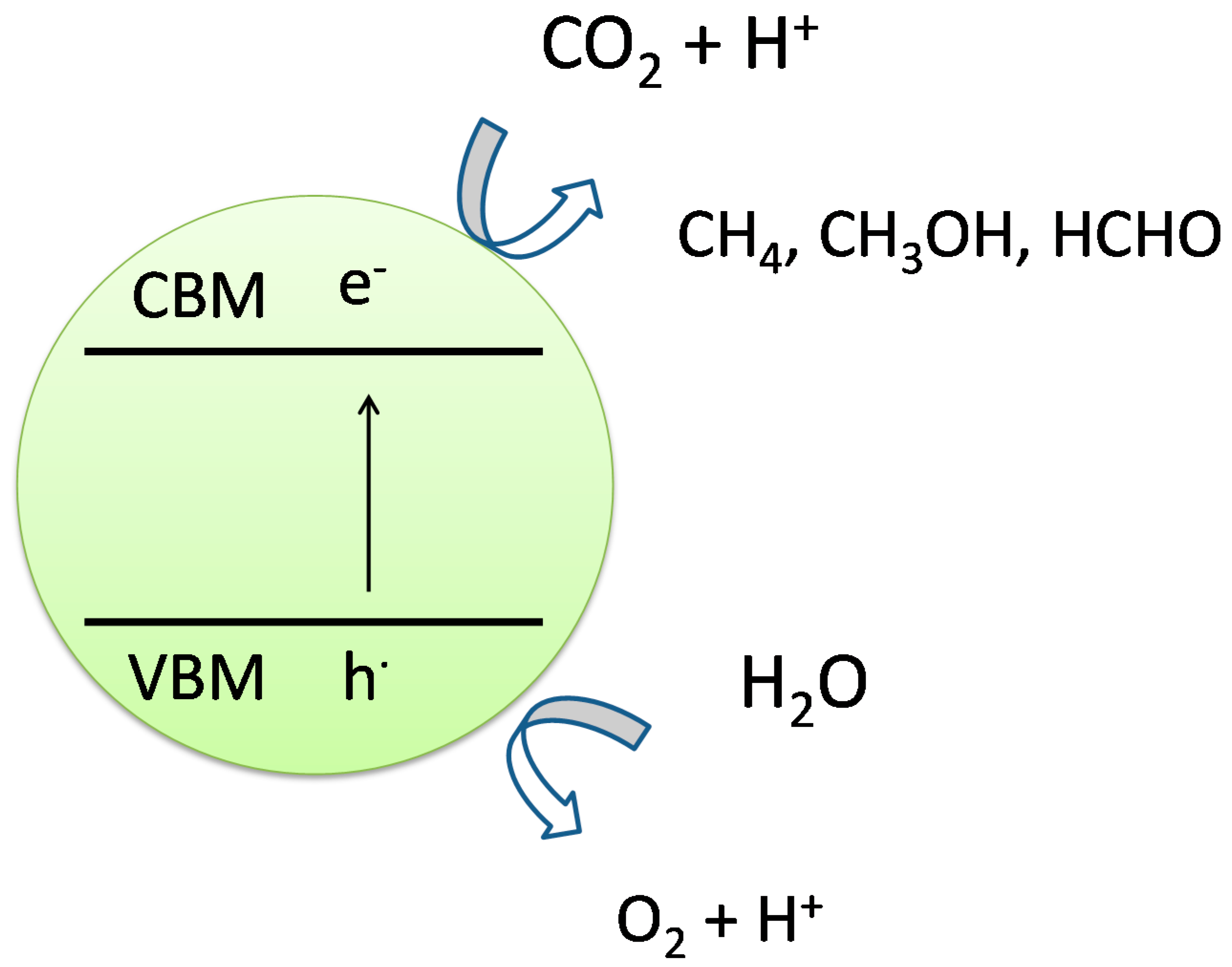 Molecules 19 19995 g005