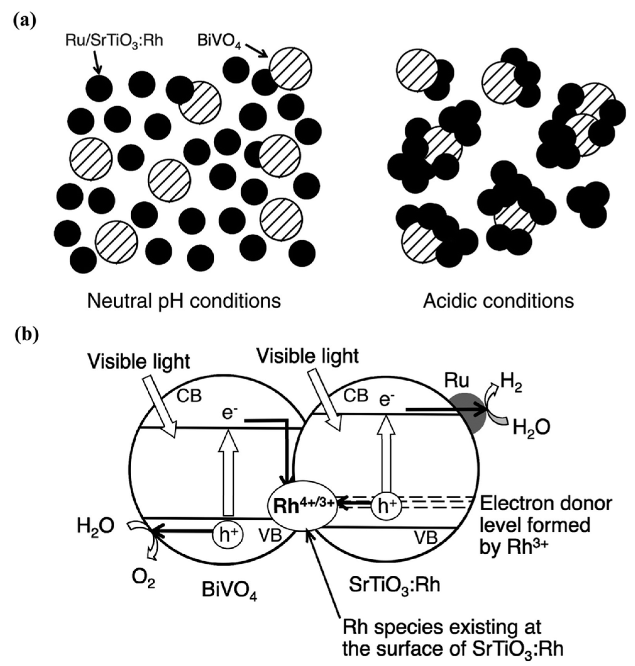 Molecules 19 19995 g007