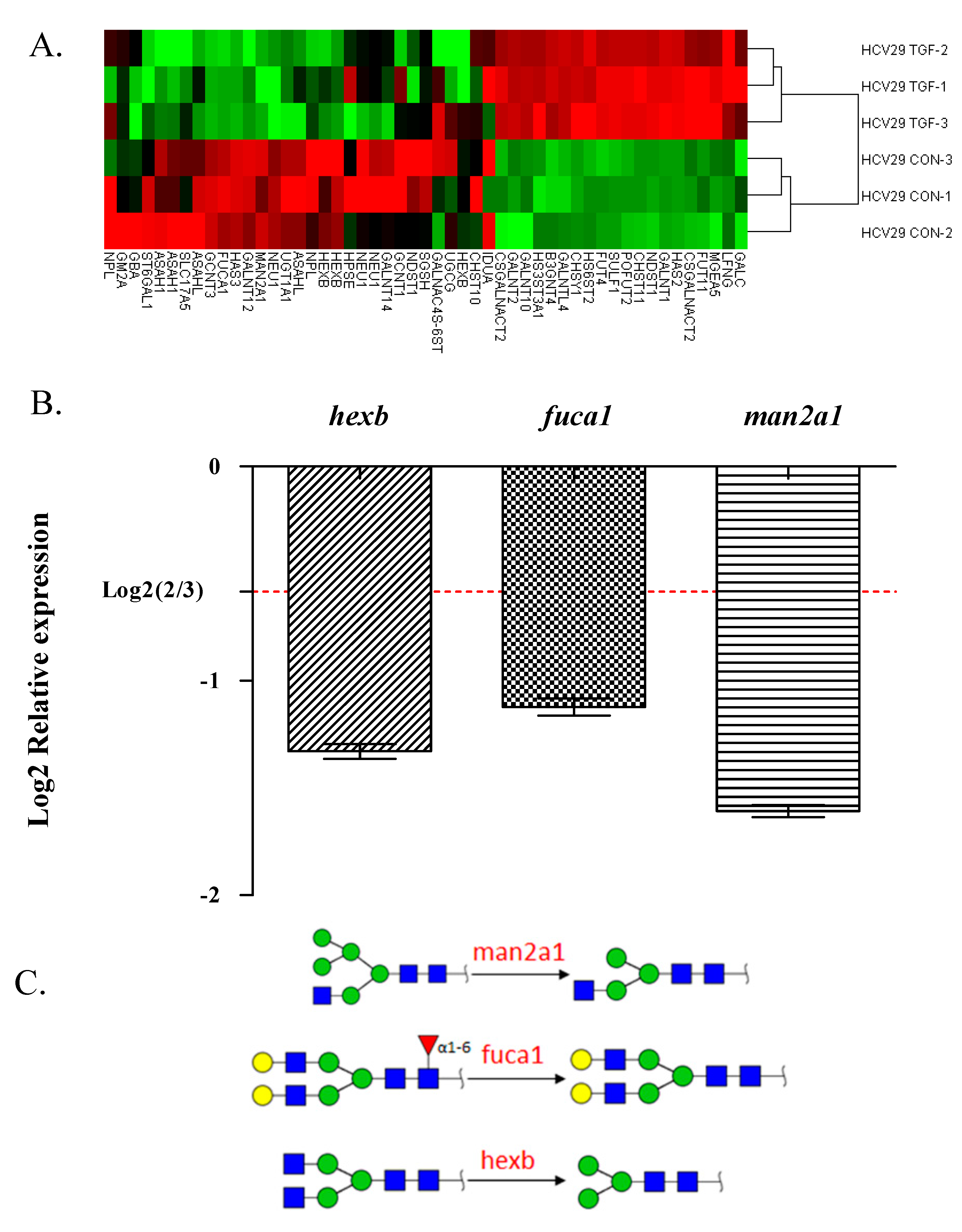 Molecules 19 20073 g005