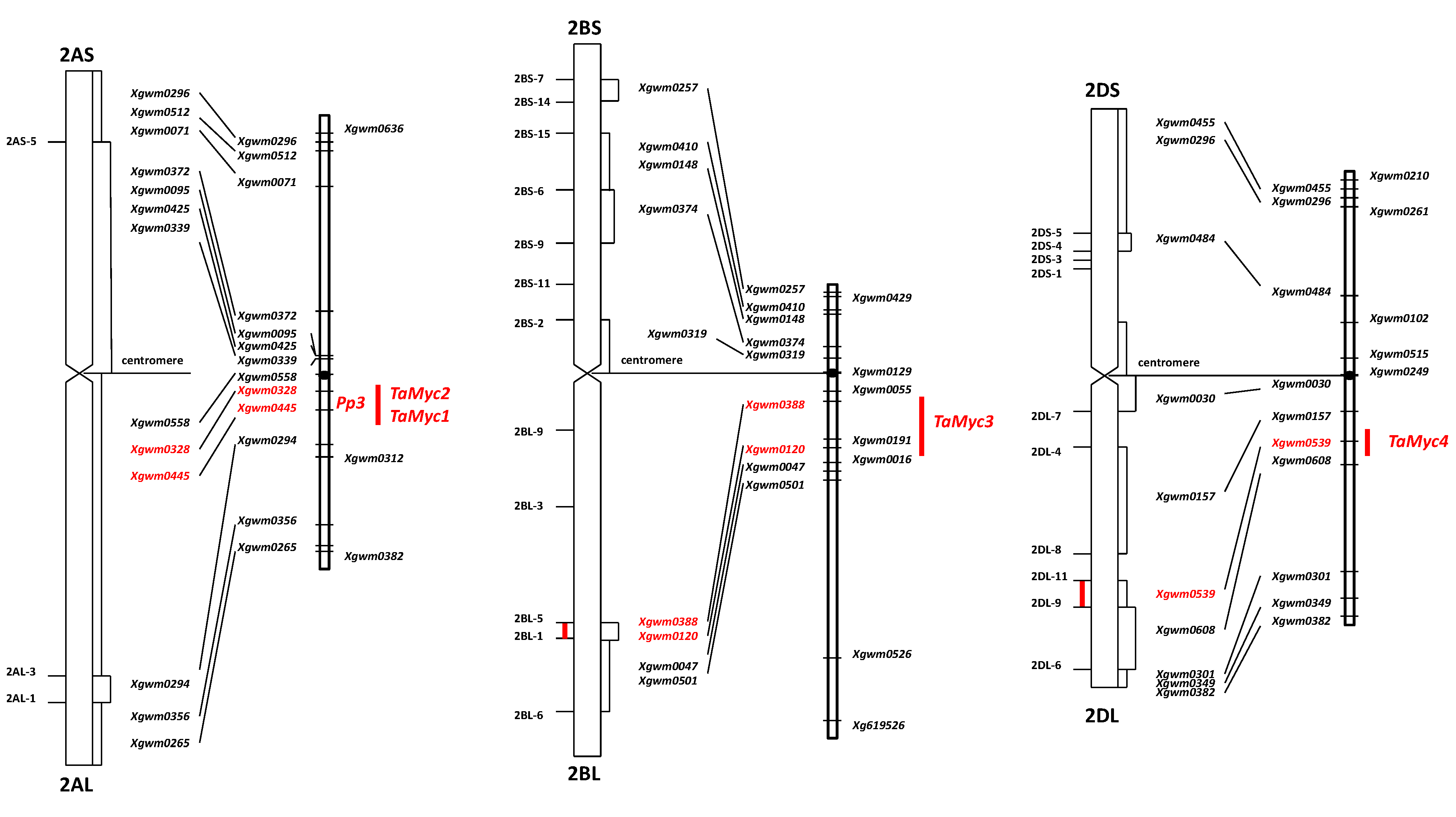 Molecules 19 20266 g002