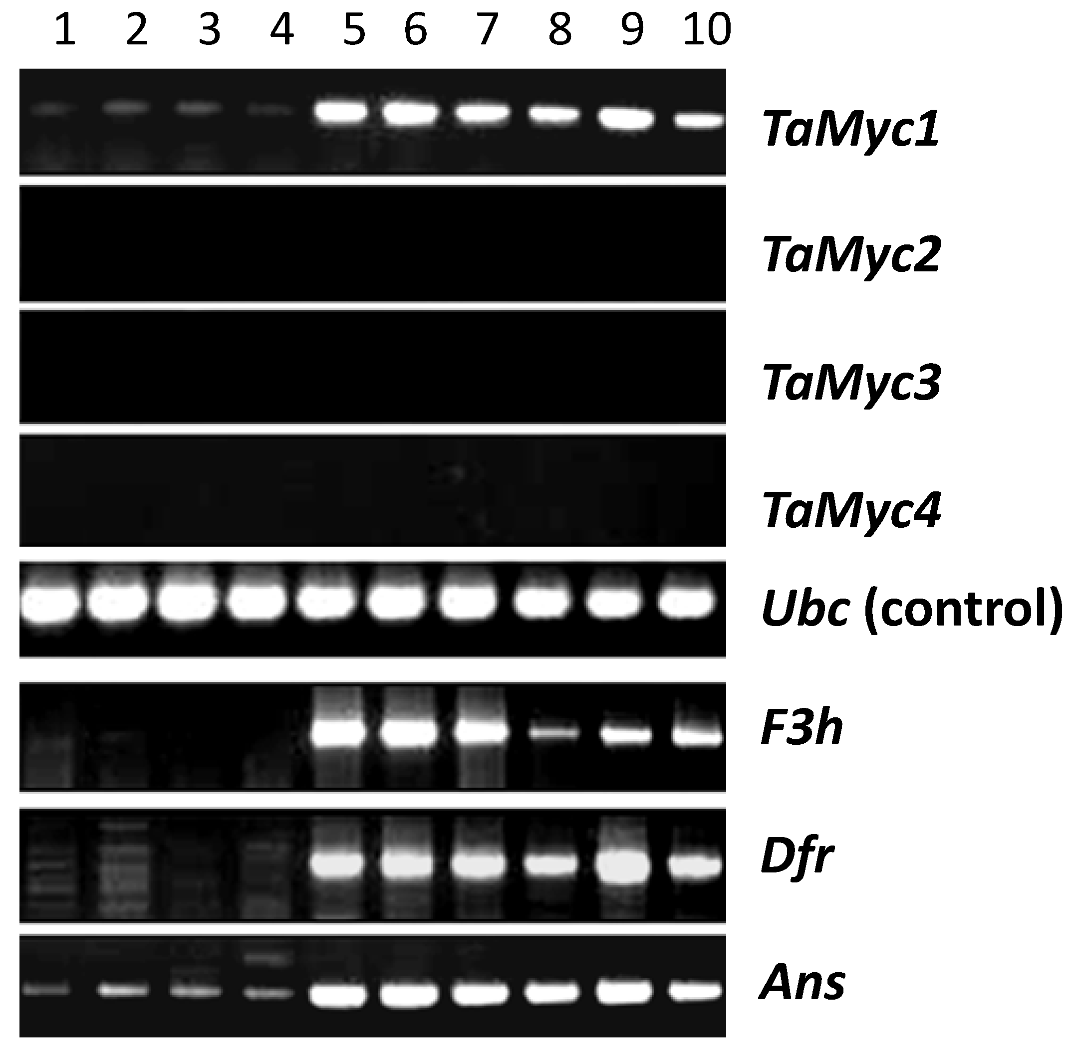 Molecules 19 20266 g003