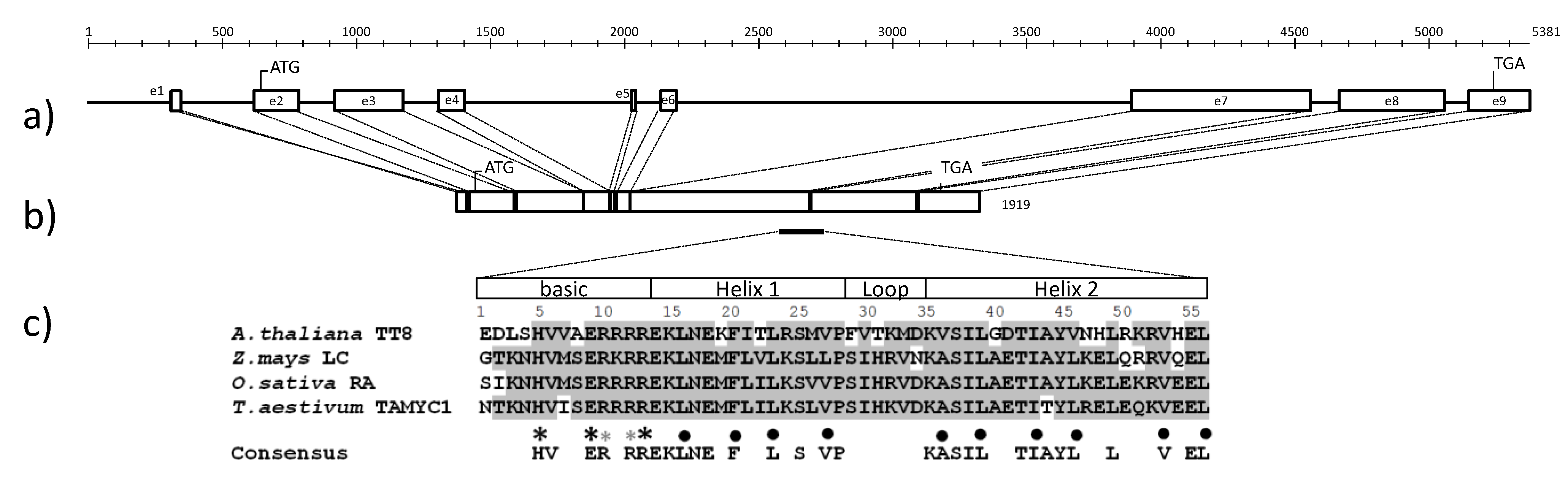 Molecules 19 20266 g005