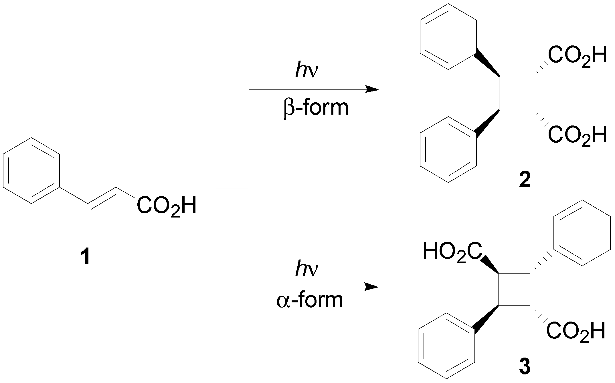 Molecules 19 20482 g013