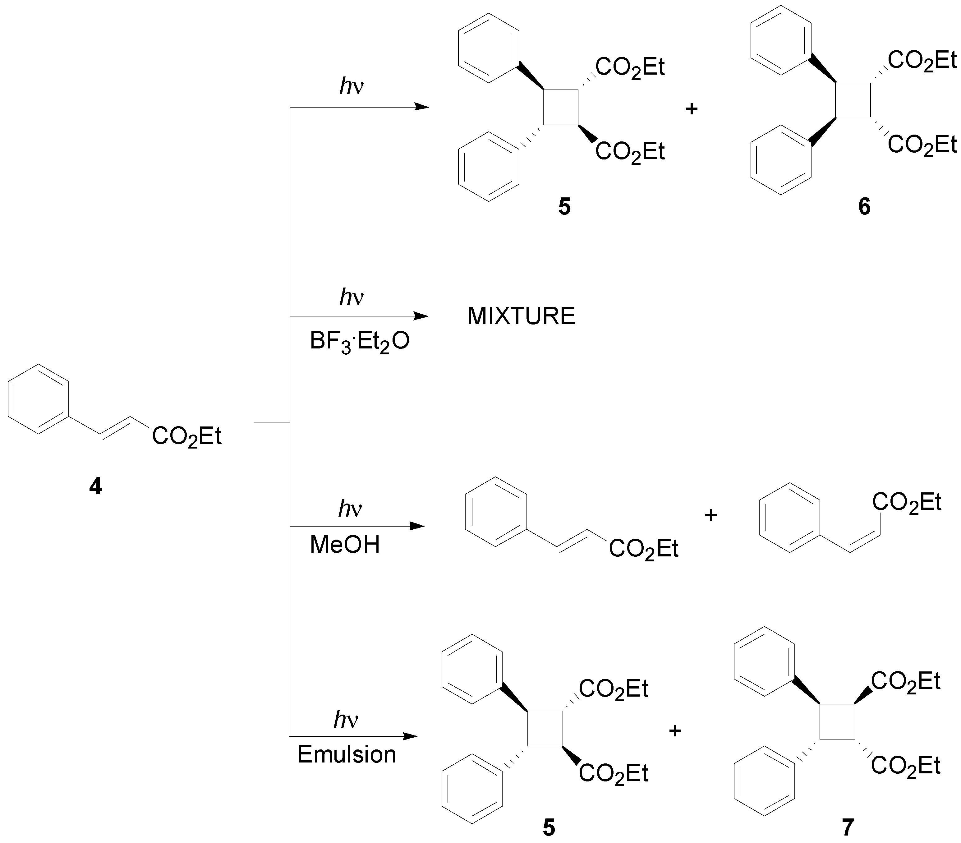 Molecules 19 20482 g014