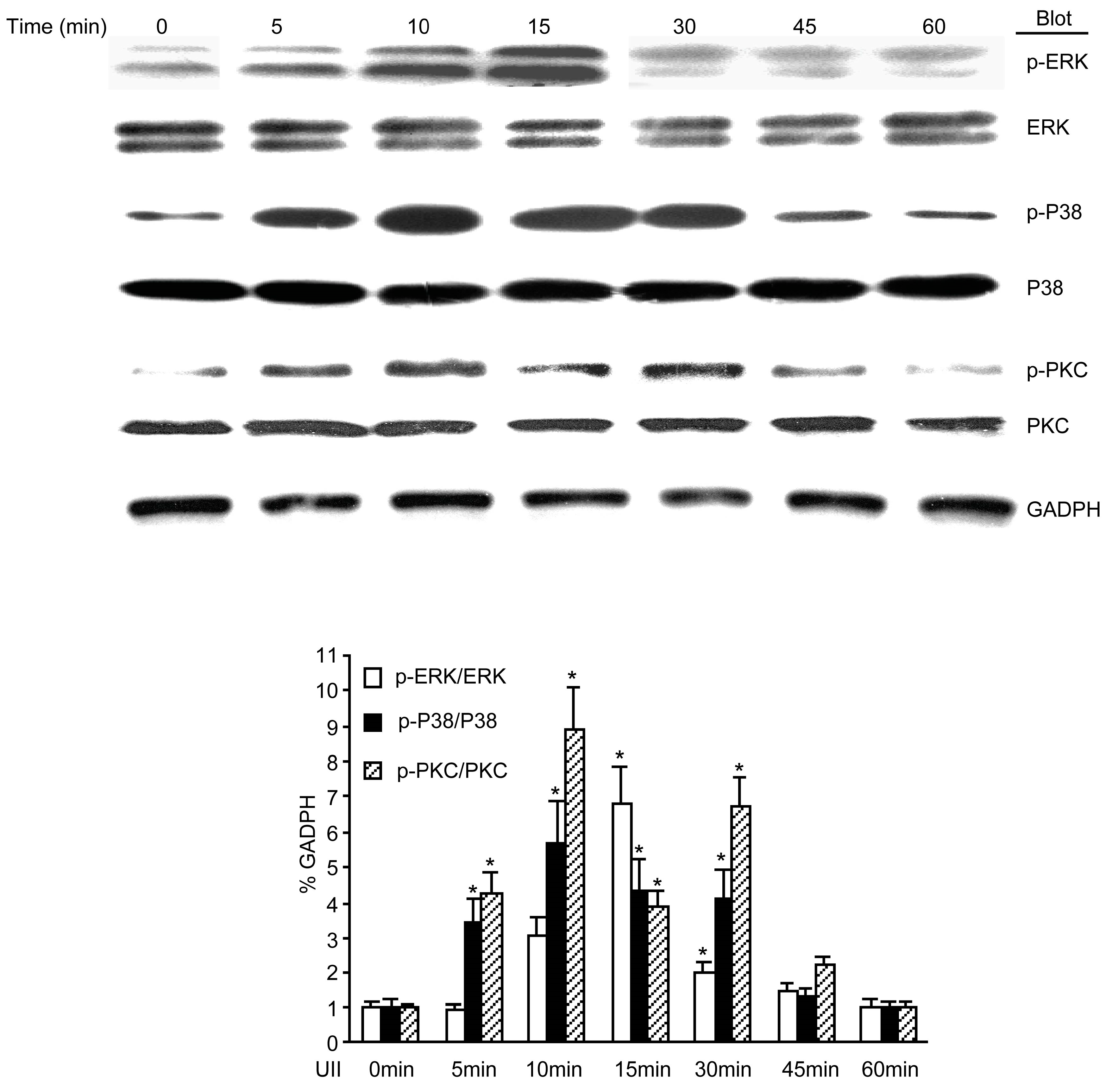 Molecules 19 20768 g005