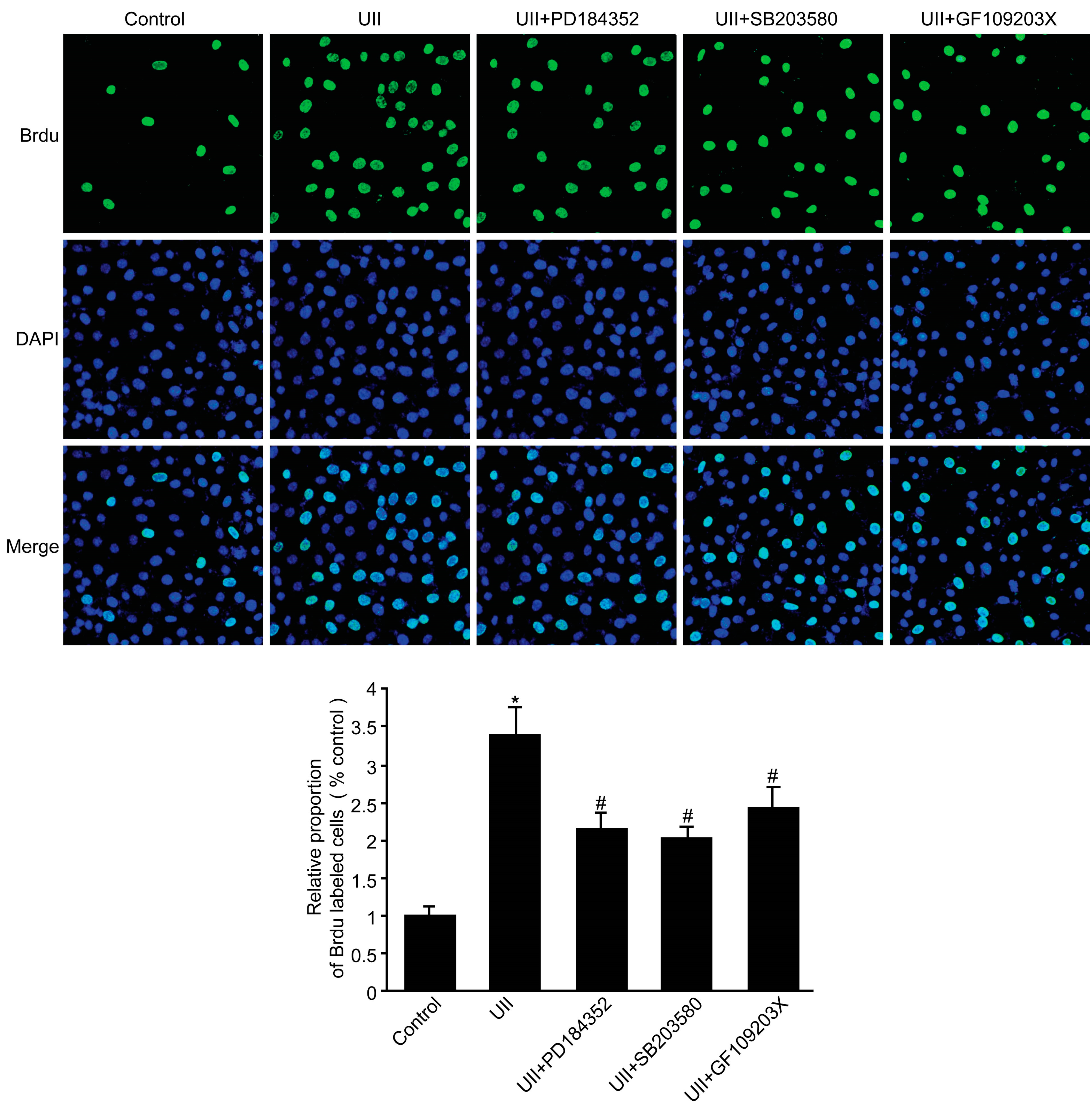 Molecules 19 20768 g006
