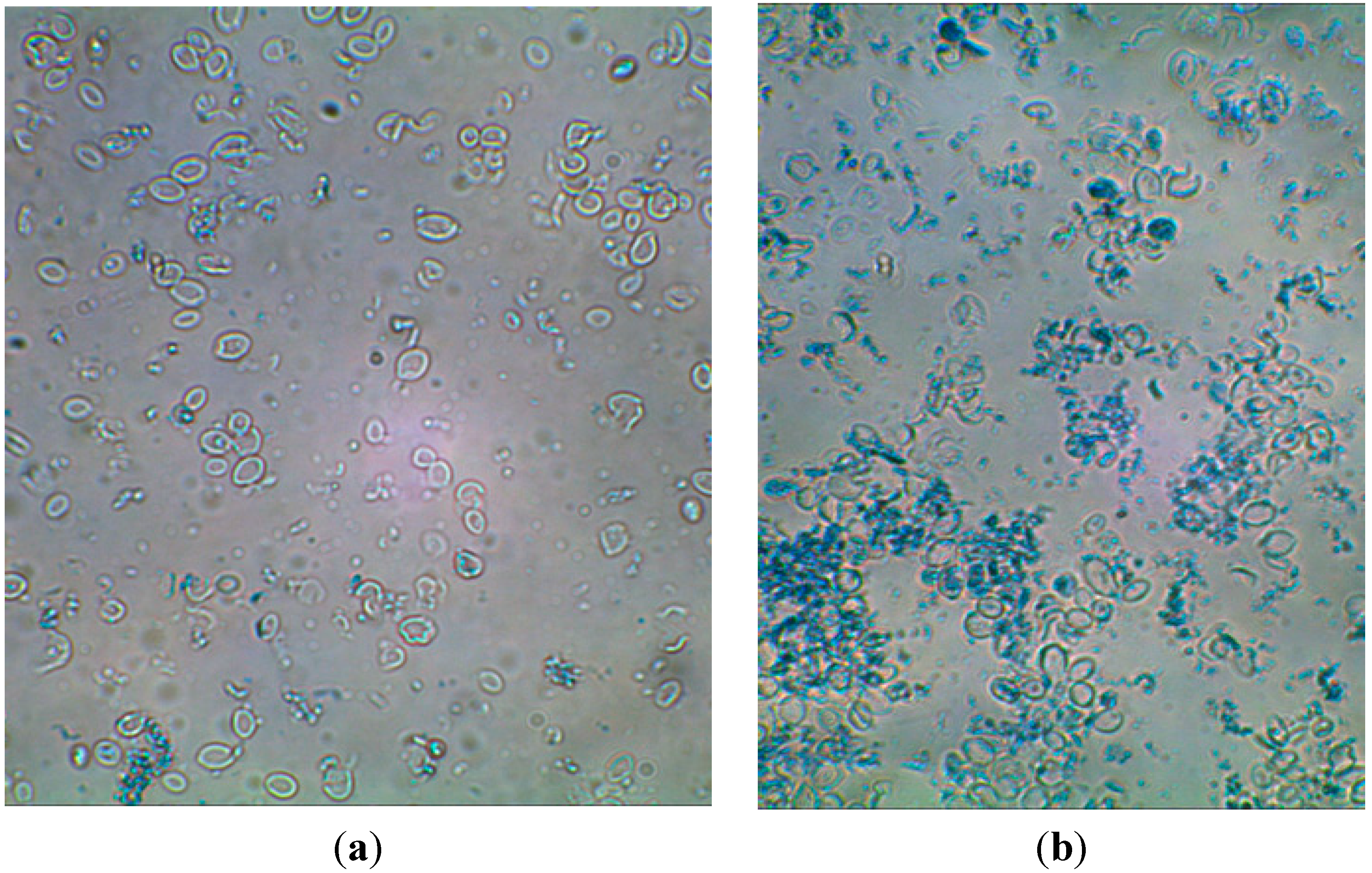 Molecules 19 20941 g003