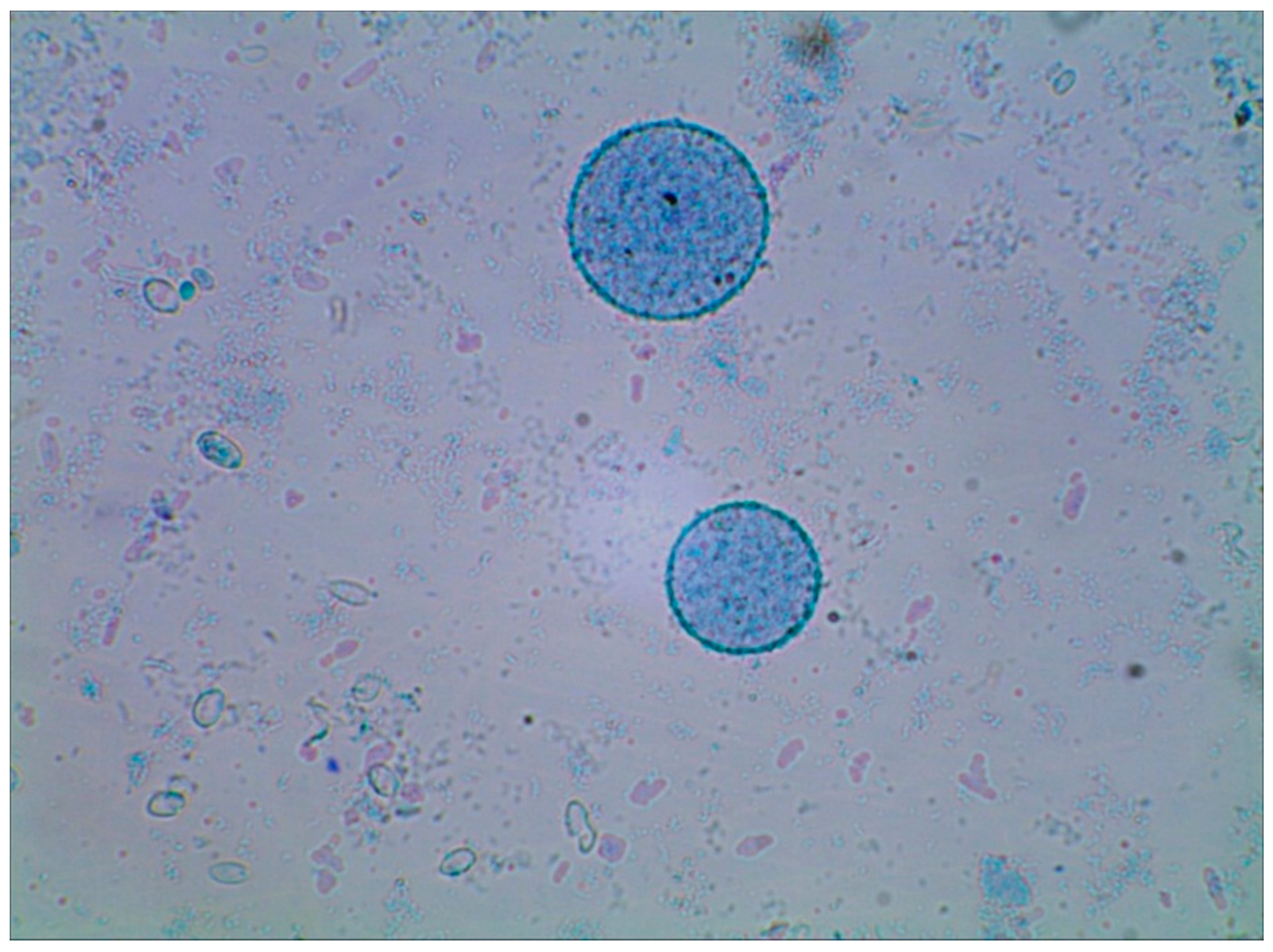 Molecules 19 20941 g006