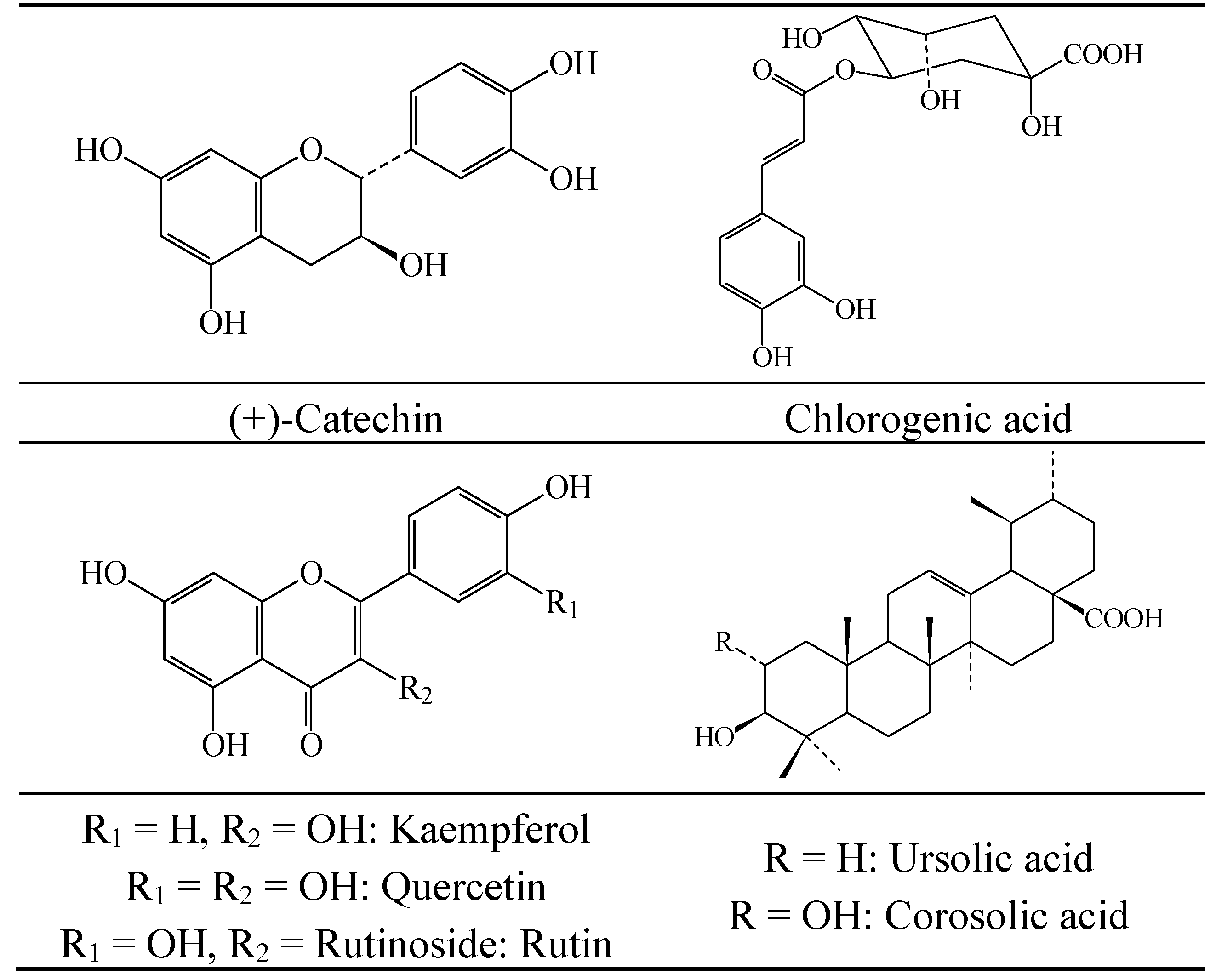 Molecules 19 20962 g004 550