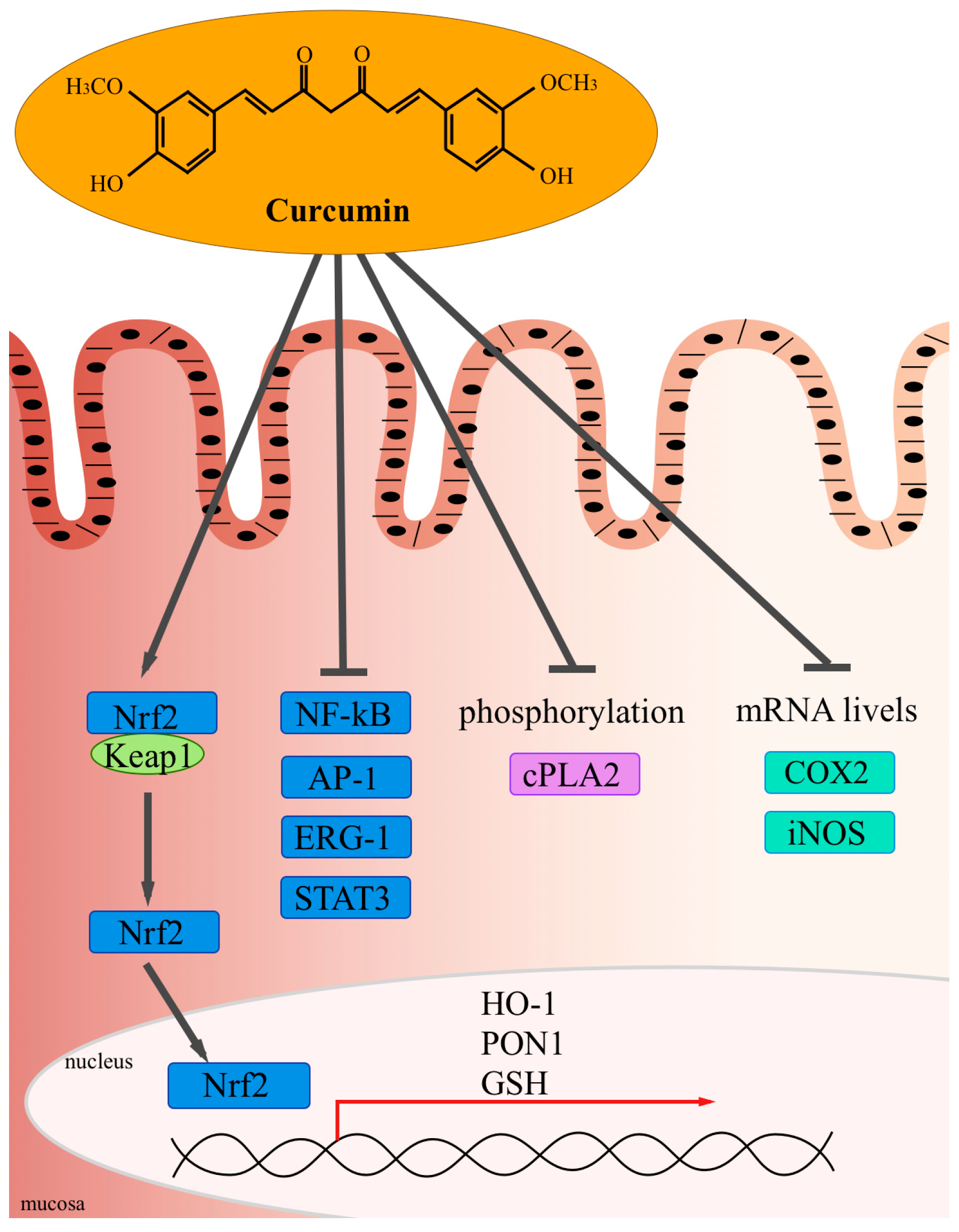 Molecules 19 21127 g001