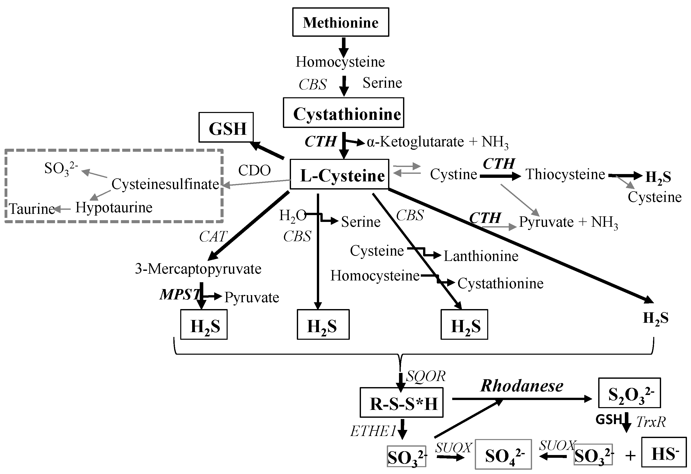 Molecules 19 21350 g006