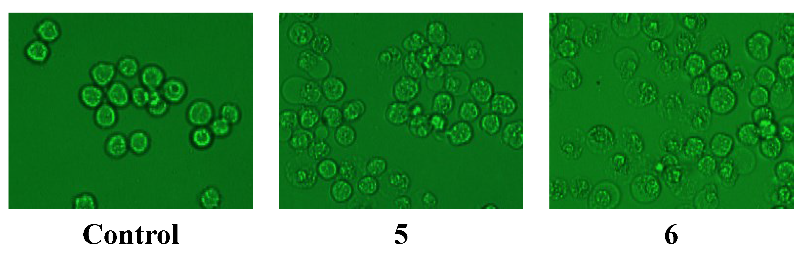 Molecules 19 21363 g005a