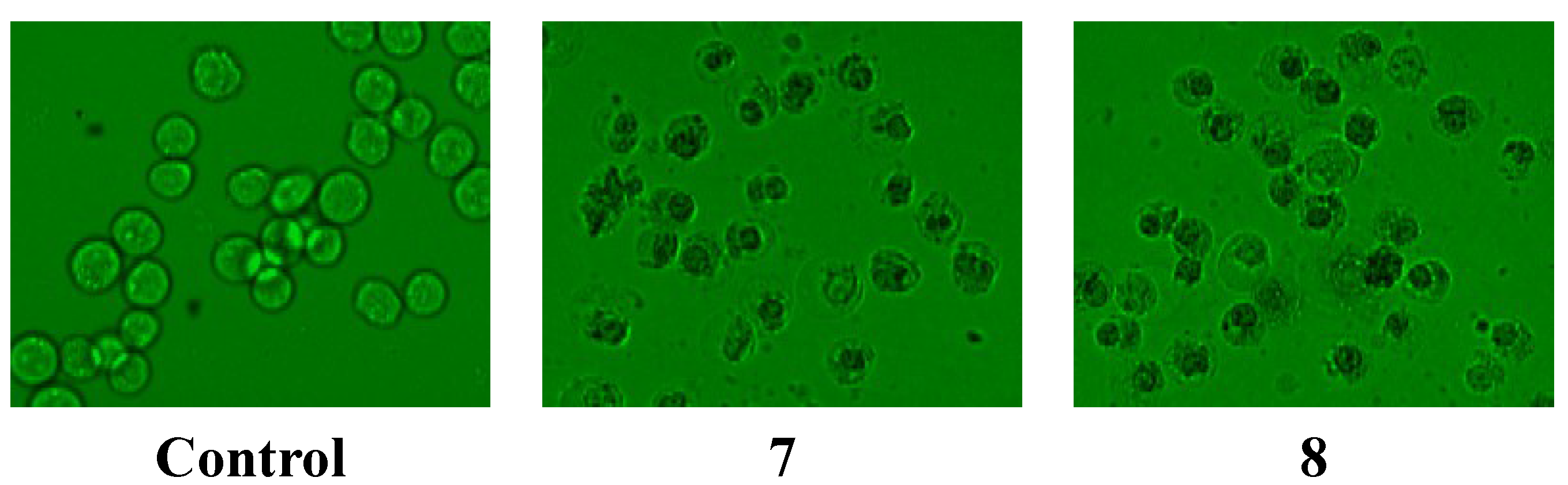 Molecules 19 21363 g005b