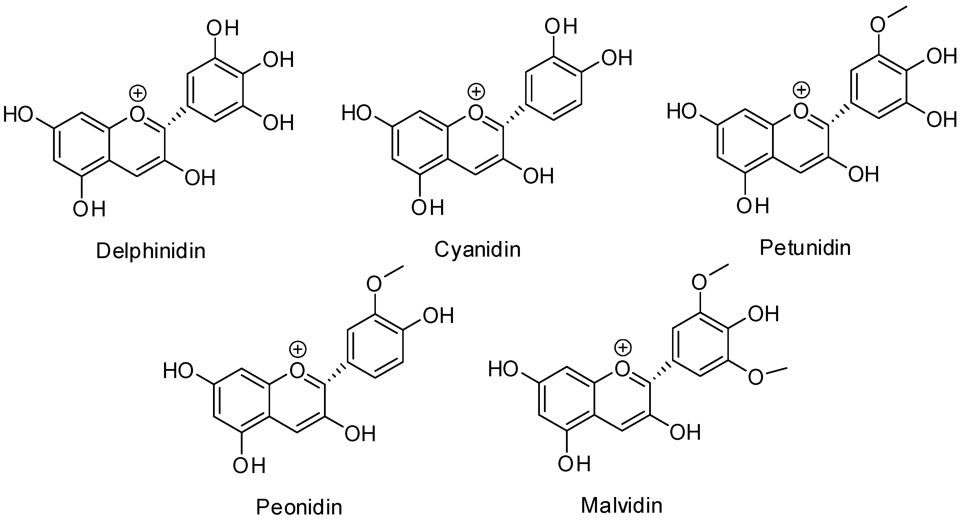 Molecules 19 21398 g001