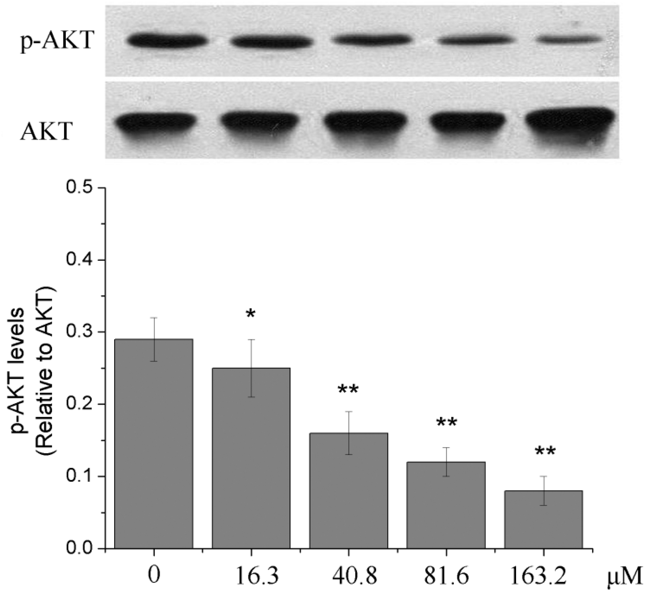 Molecules 19 21411 g007 550