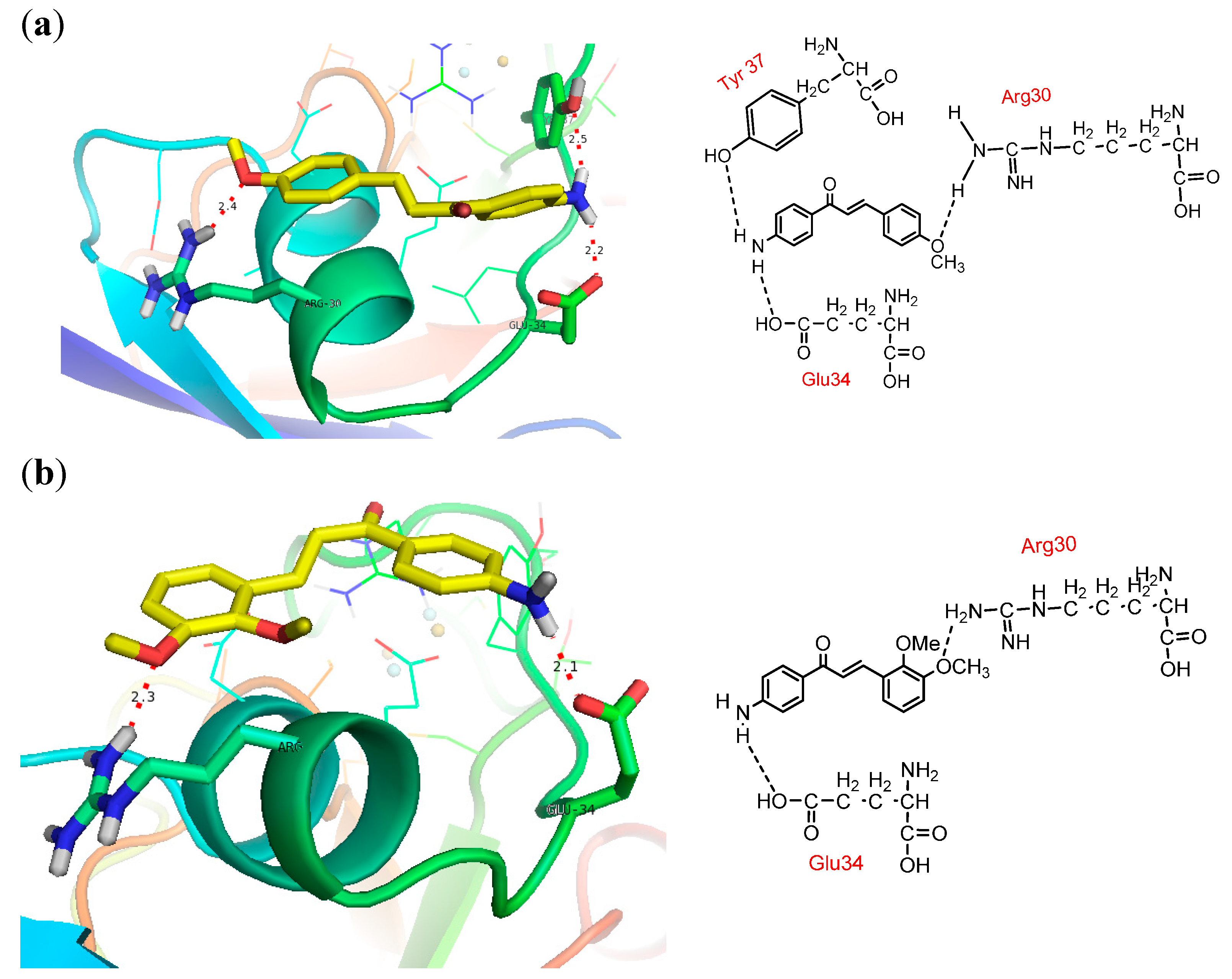Molecules 19 21473 g003a