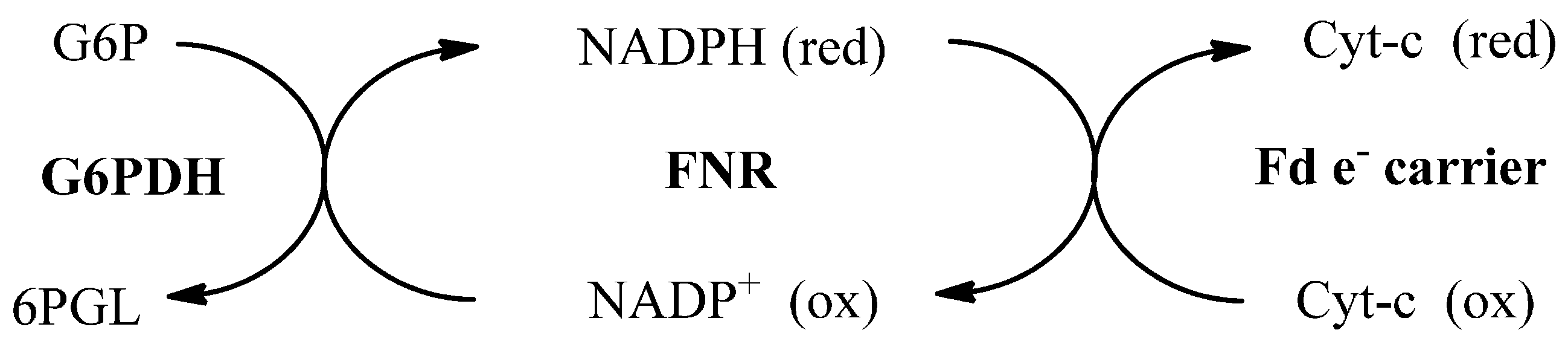 Molecules 19 21473 g004