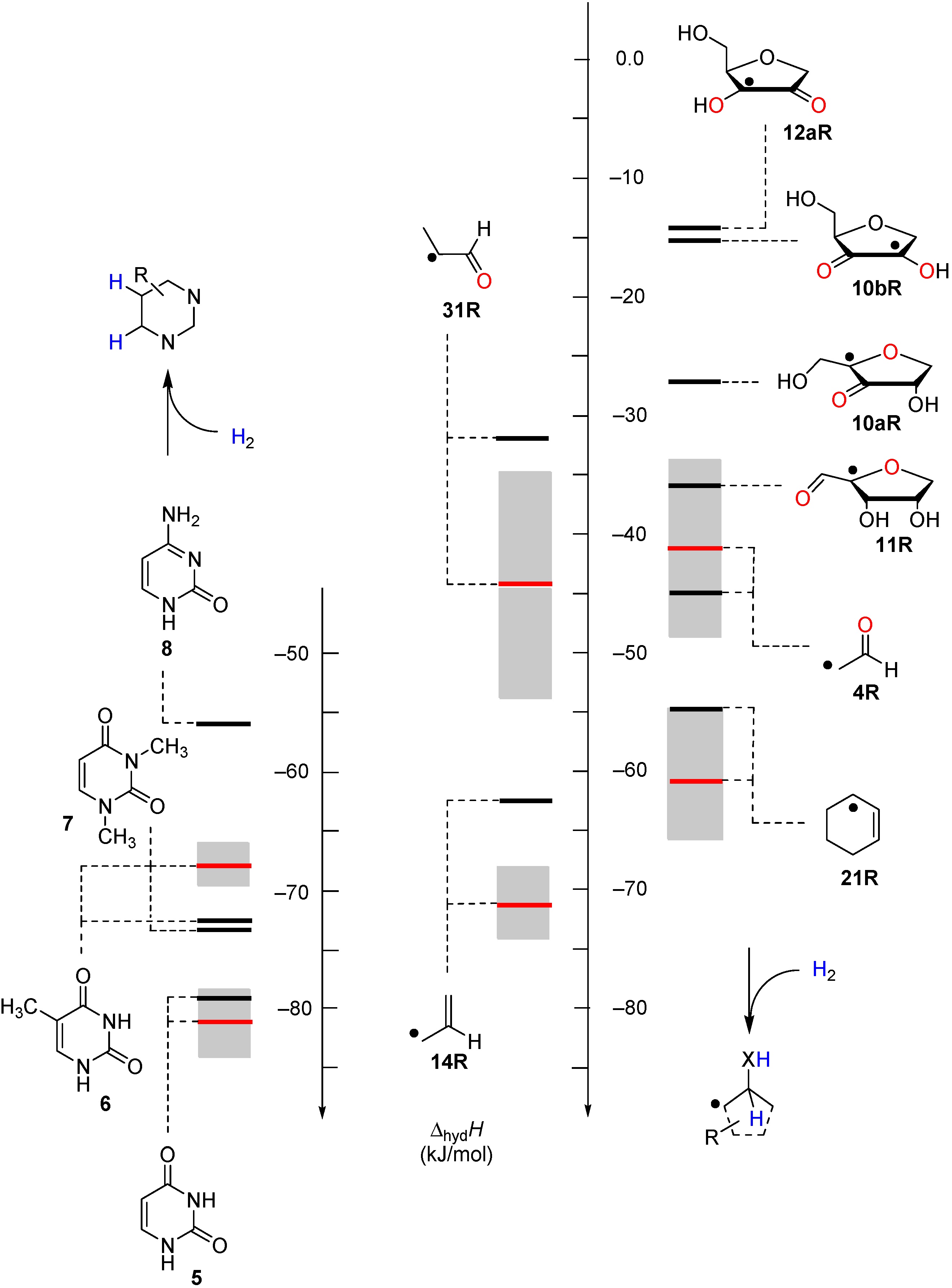 Molecules 19 21489 g003