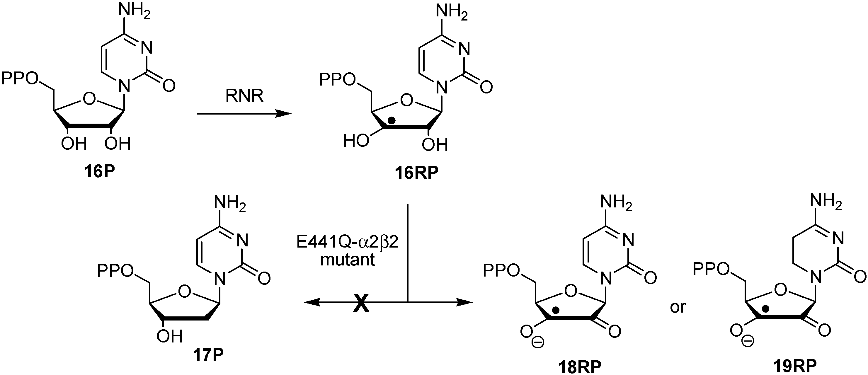 Molecules 19 21489 g008