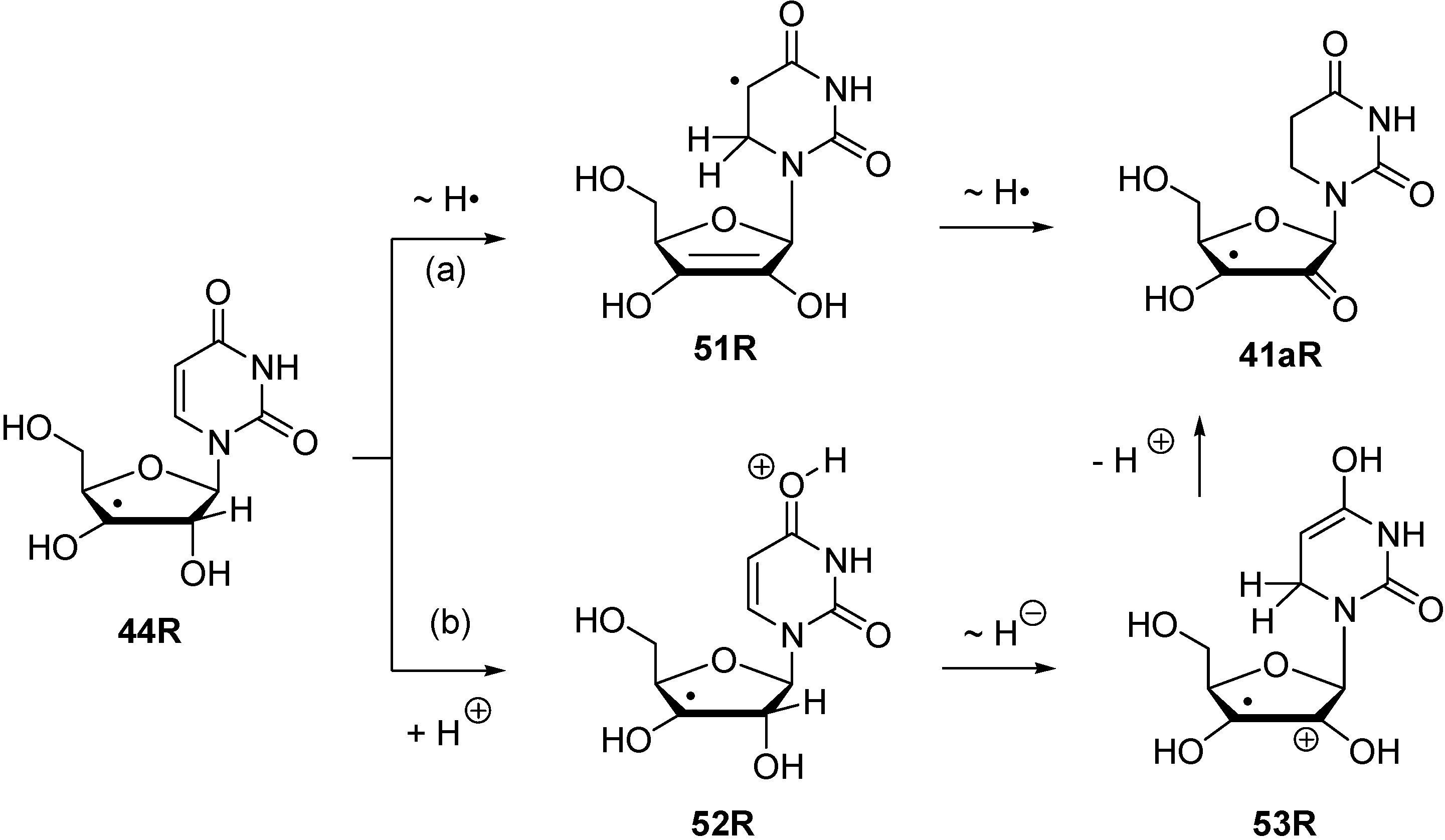 Molecules 19 21489 g011