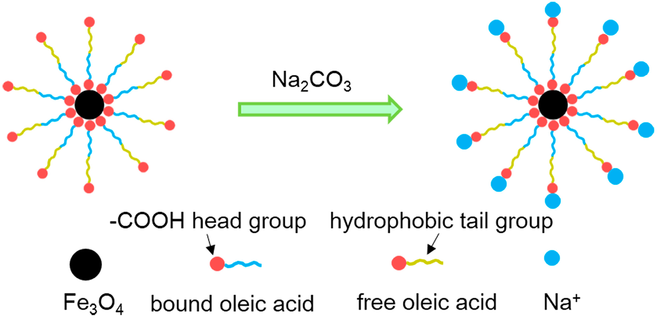 Molecules 19 21506 g001