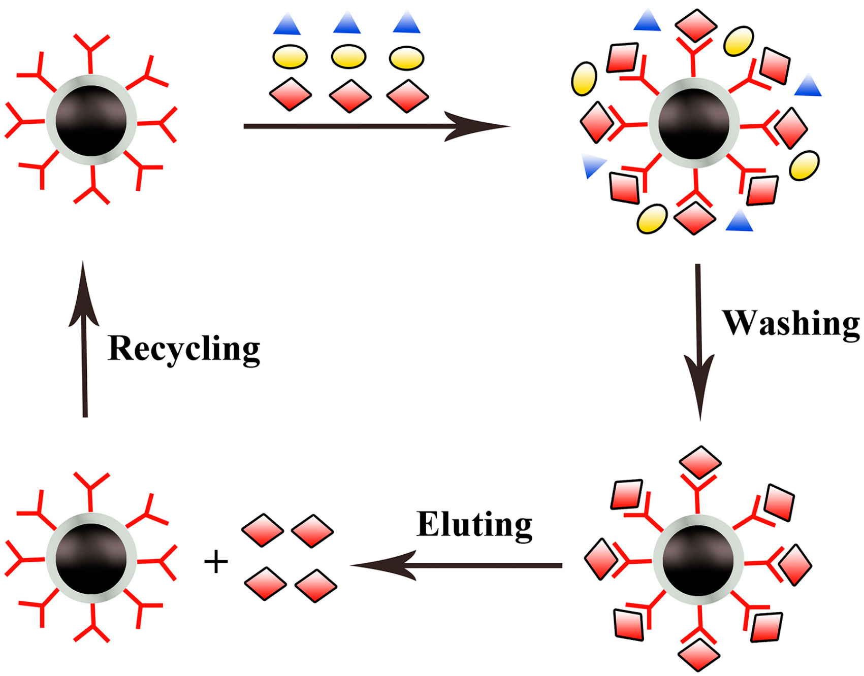 Molecules 19 21506 g002
