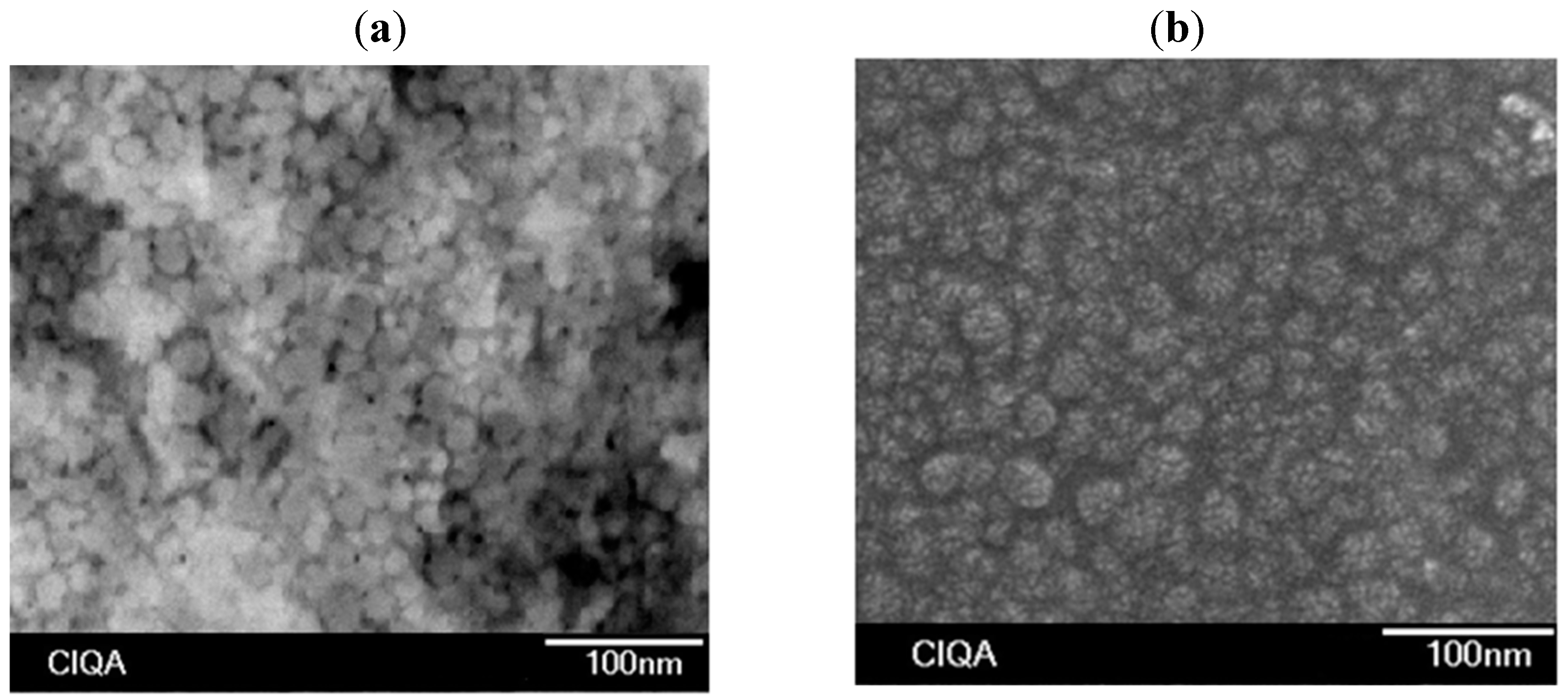 Molecules 20 00052 g004 550