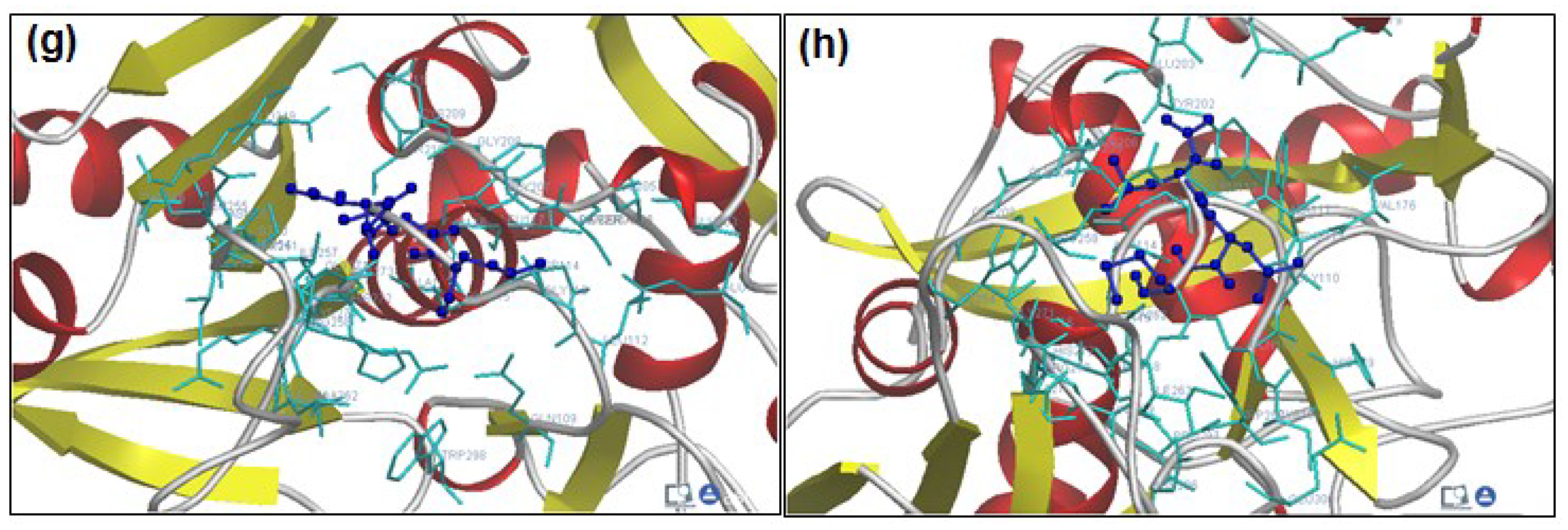 Molecules 20 00135 g002b 550