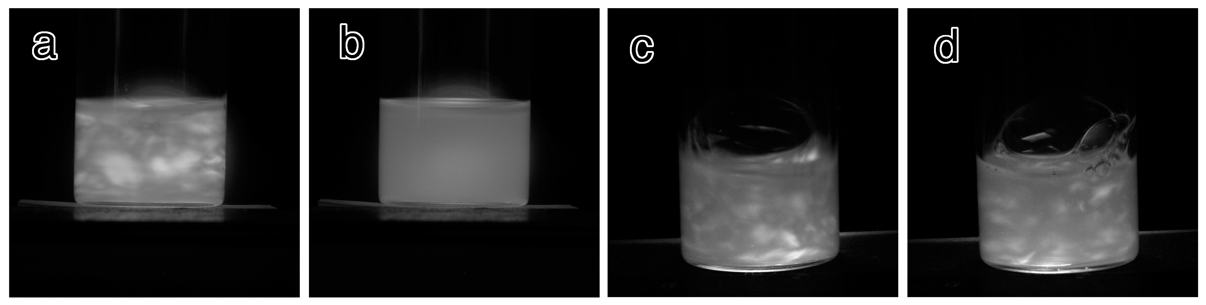 Molecules 20 00169 g001