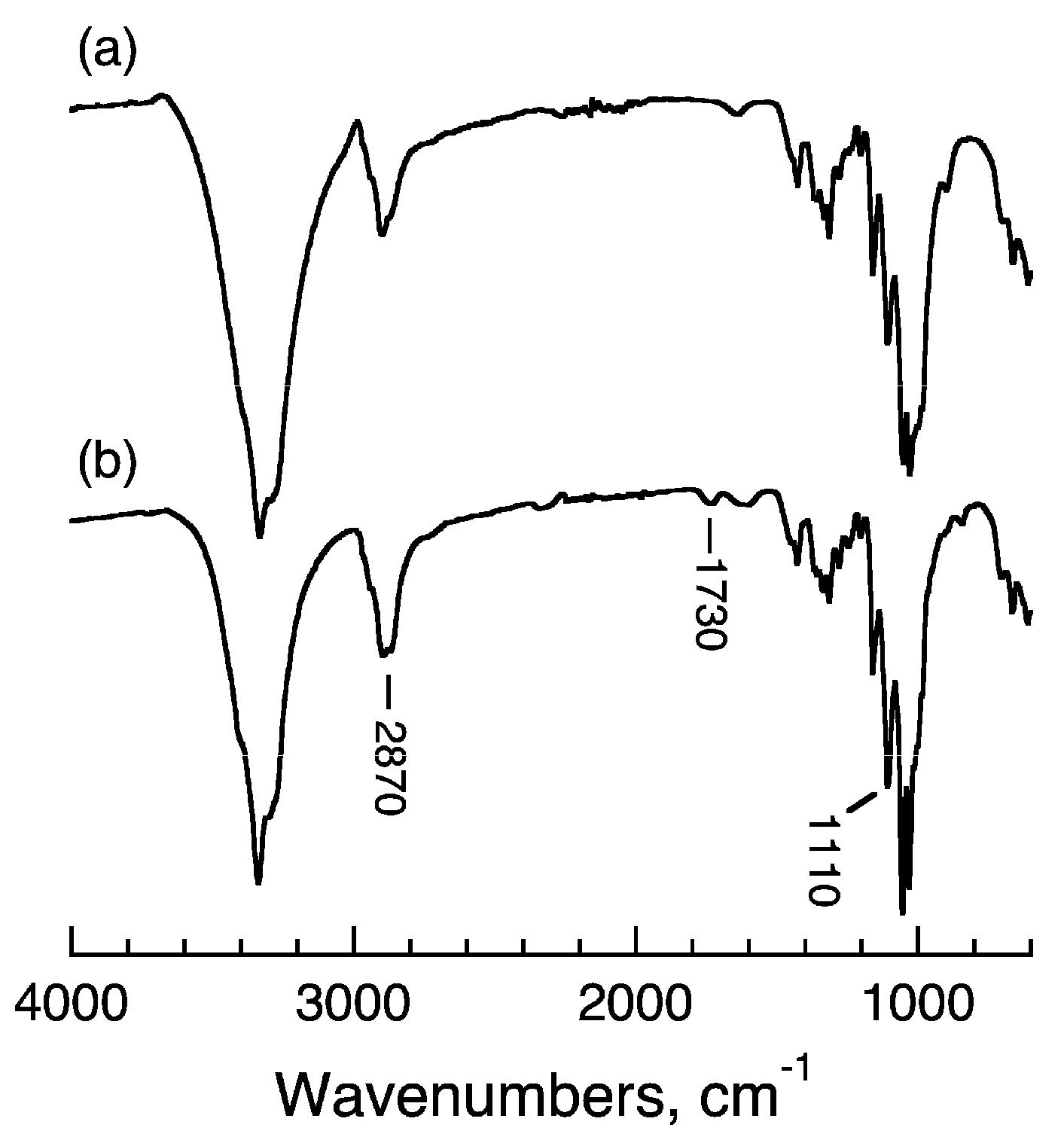 Molecules 20 00169 g003
