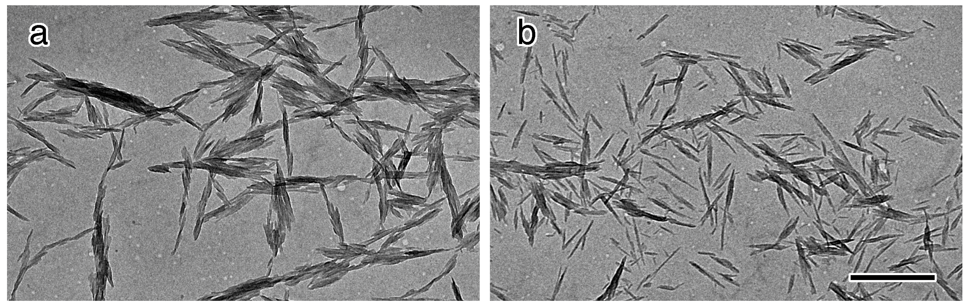 Molecules 20 00169 g004